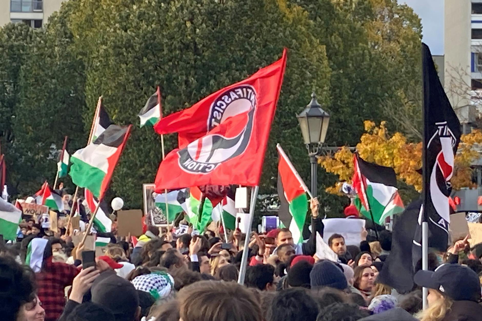 Linke und Palästina-Freunde vereint bei einer Anti-Israel-Demo in Berlin