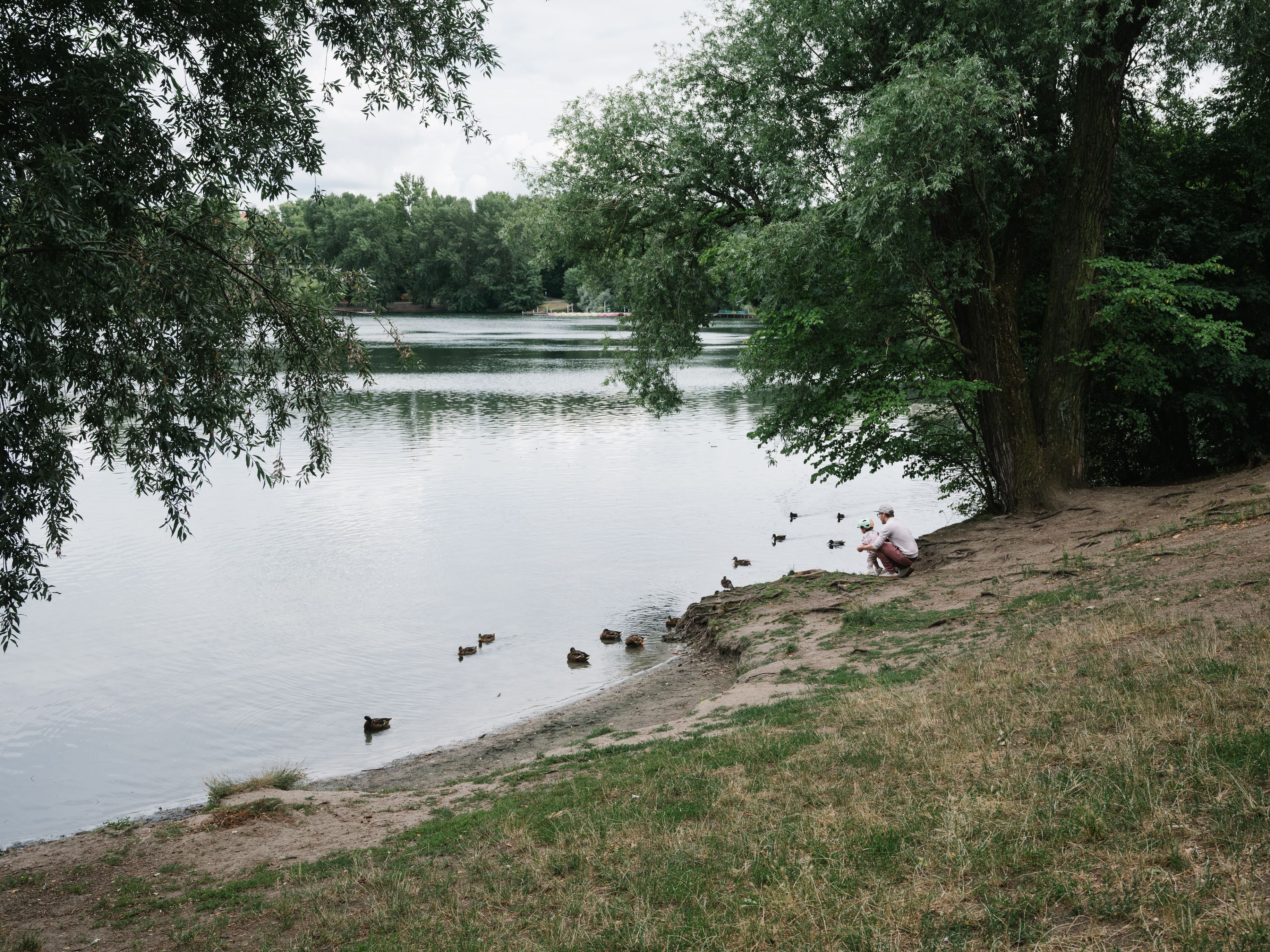 Image - Bezirksamt startet Bau der umstrittenen Heckenbarriere am Weißen See