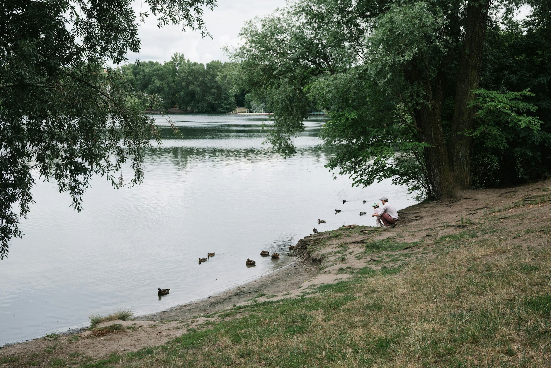 Das Westufer des Weißen Sees: Eine Heckenabsperrung soll den zertrampelten Uferbereich schützen.