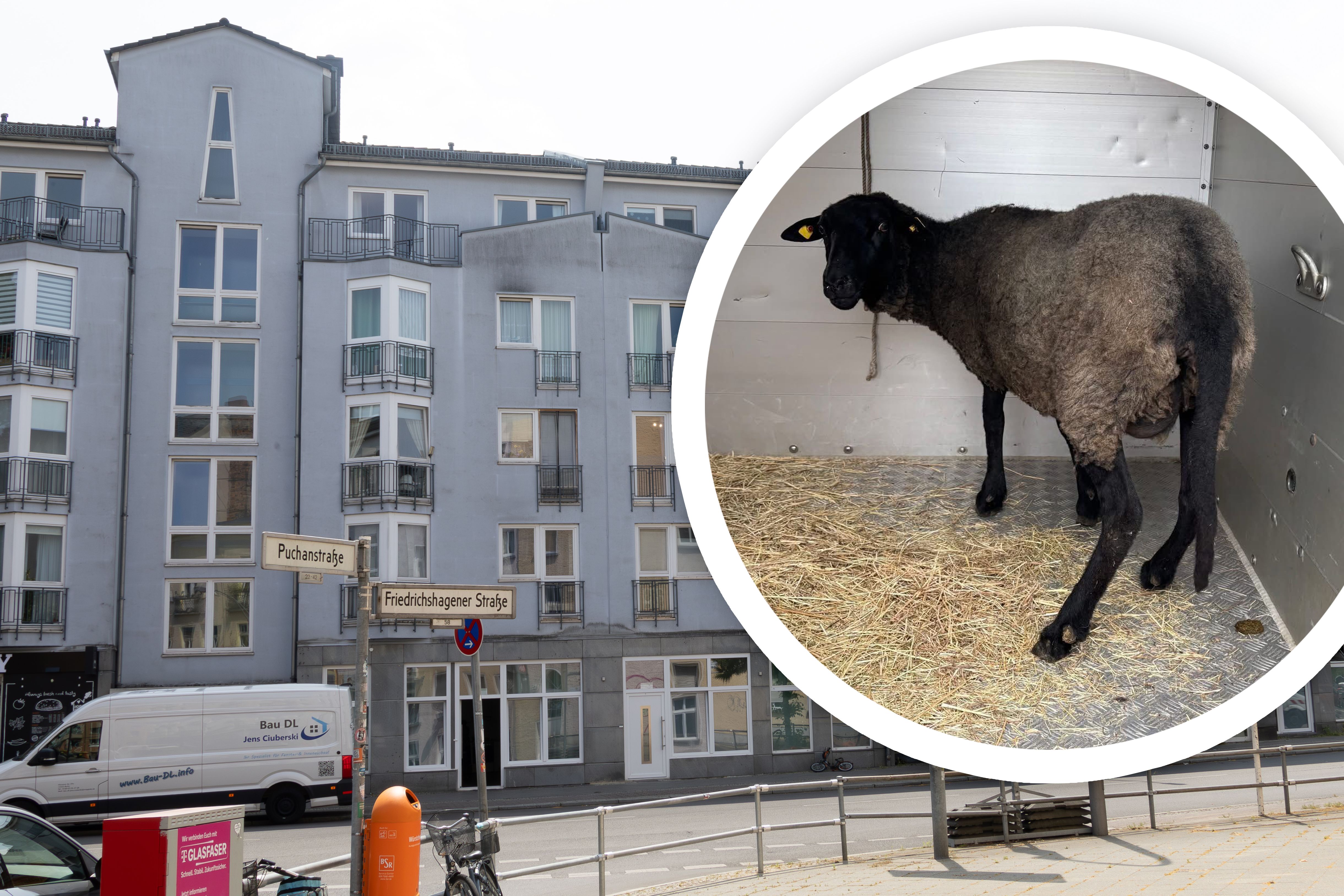 Amt drückte Auge zu: So wurde Miethaus zum Horrorhaus von Köpenick