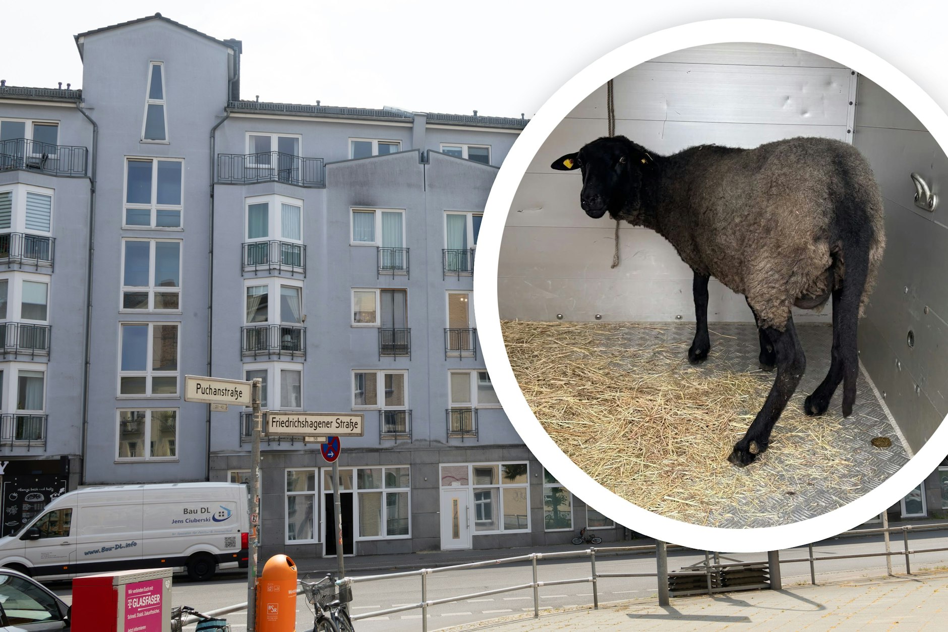 Dieses Mietshaus an der Friedrichagener Straße wurde zum Horrorhaus von Köpenick. Dort wurden vom Sozoalamt 68 Flüchtlinge und Obdachlose untergebracht.