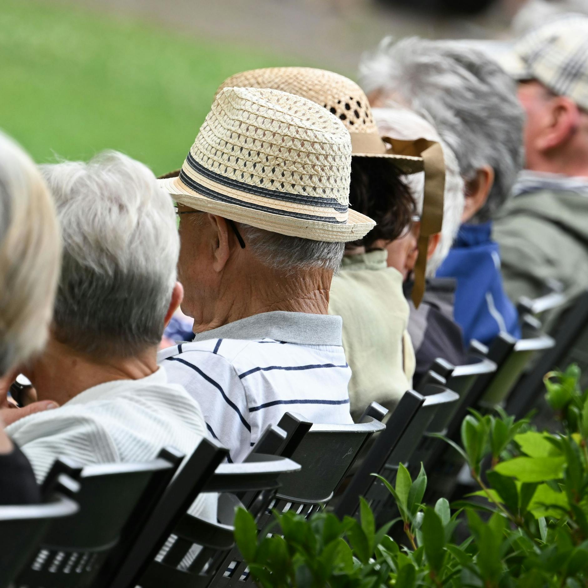 Image - Pflege, Rente, Krankenversicherung: Wirtschaftsweise plädiert für Einschnitte
