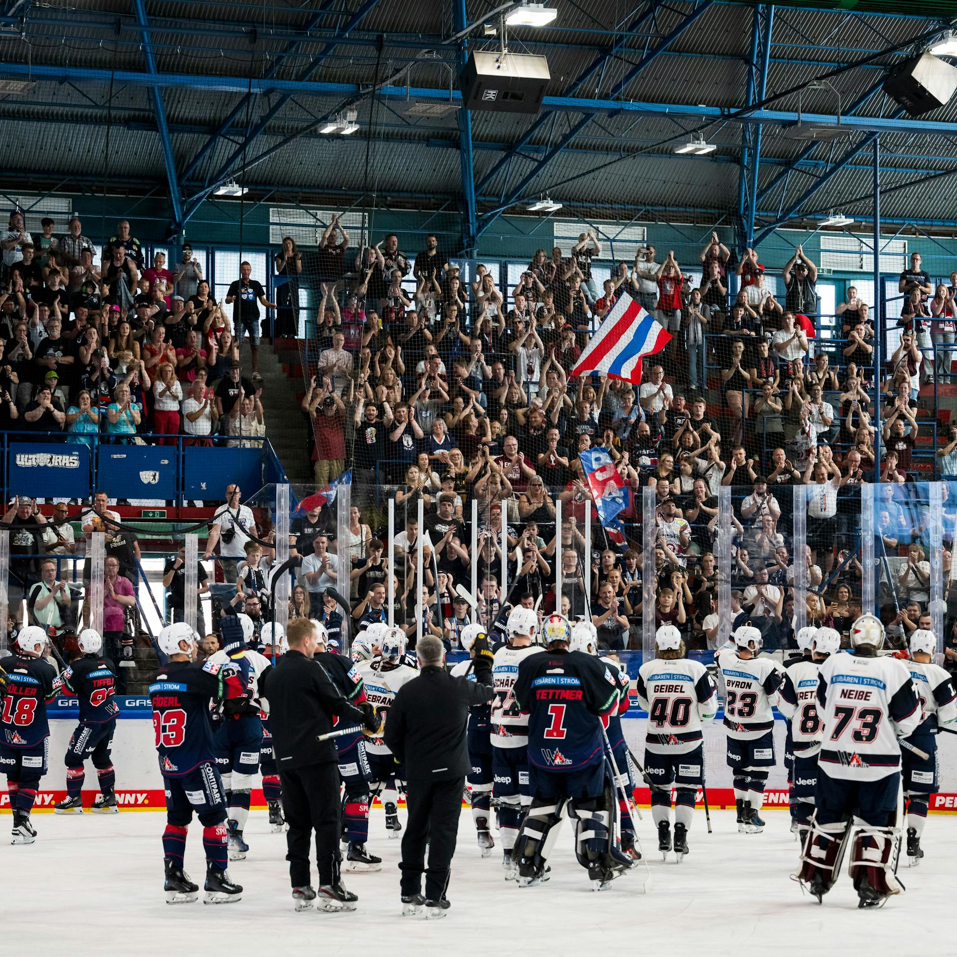 Image - Trainingsauftakt: Fans rennen den Eisbären den Welli ein