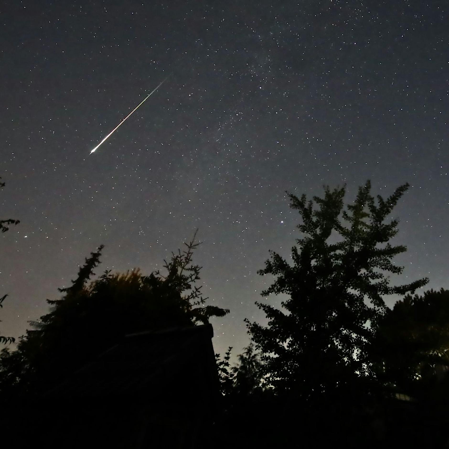 Bis zu 100 Sternschnuppen pro Stunde über Berlin: Wo Sie die Perseiden heute sehen können