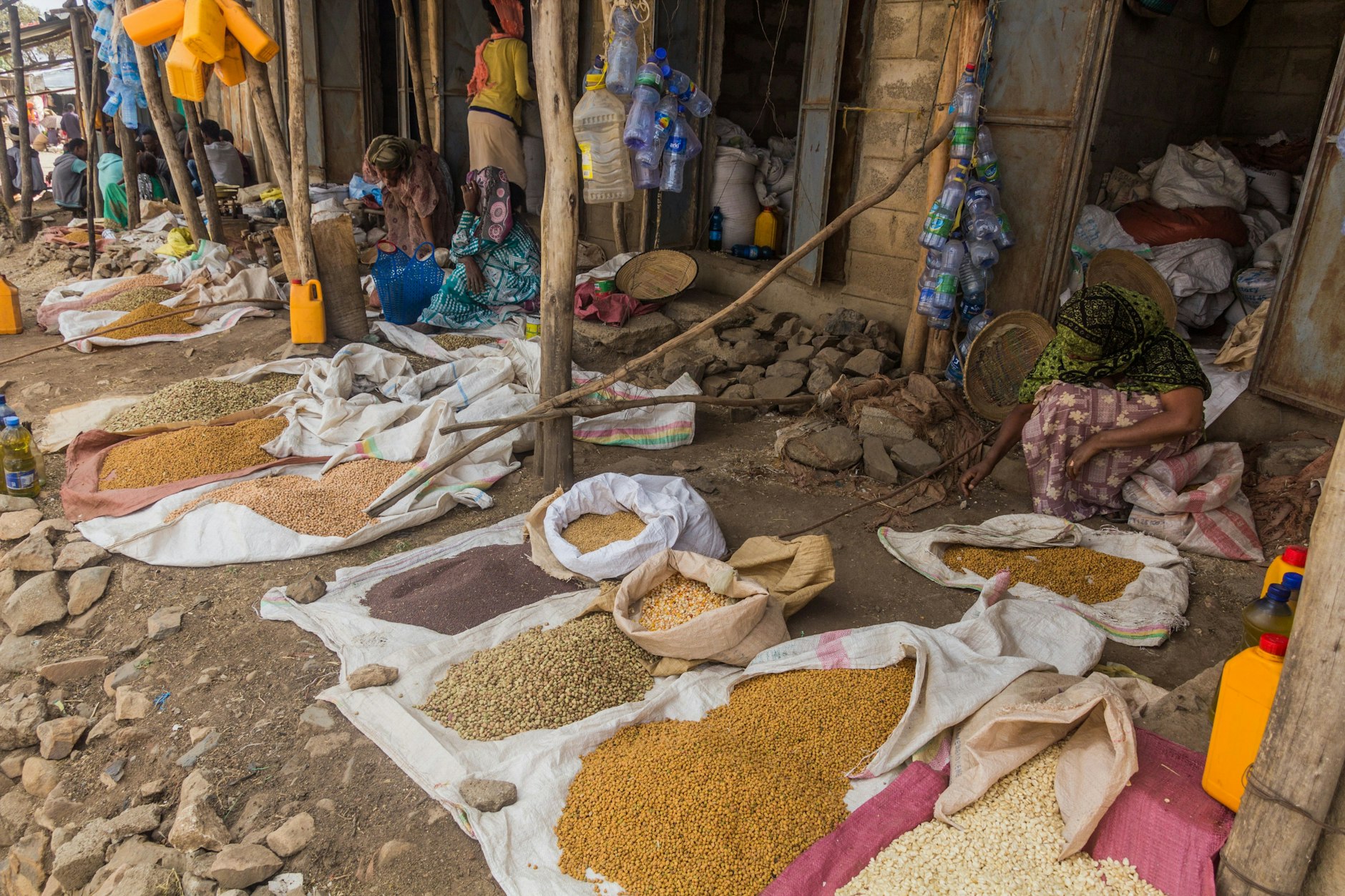 In Afrika stammen bis zu 90 Prozent des Saatgutes aus informellem Handel. Westliche Konzerne wollen dies ändern.