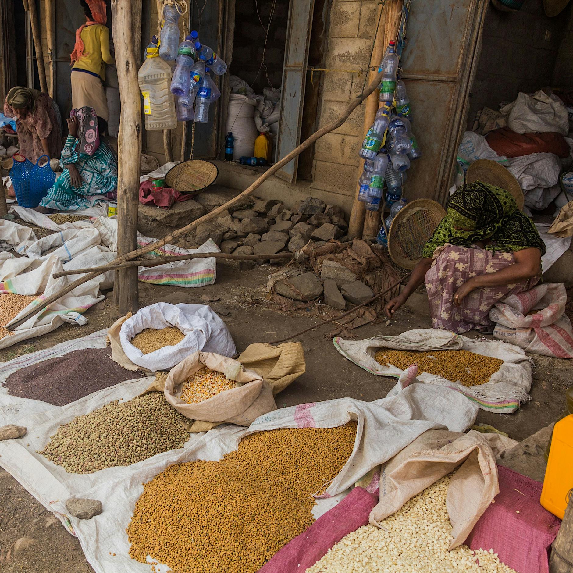 Saatgut als Waffe: Wie der Westen Afrikas Souveränität erneut infrage stellt
