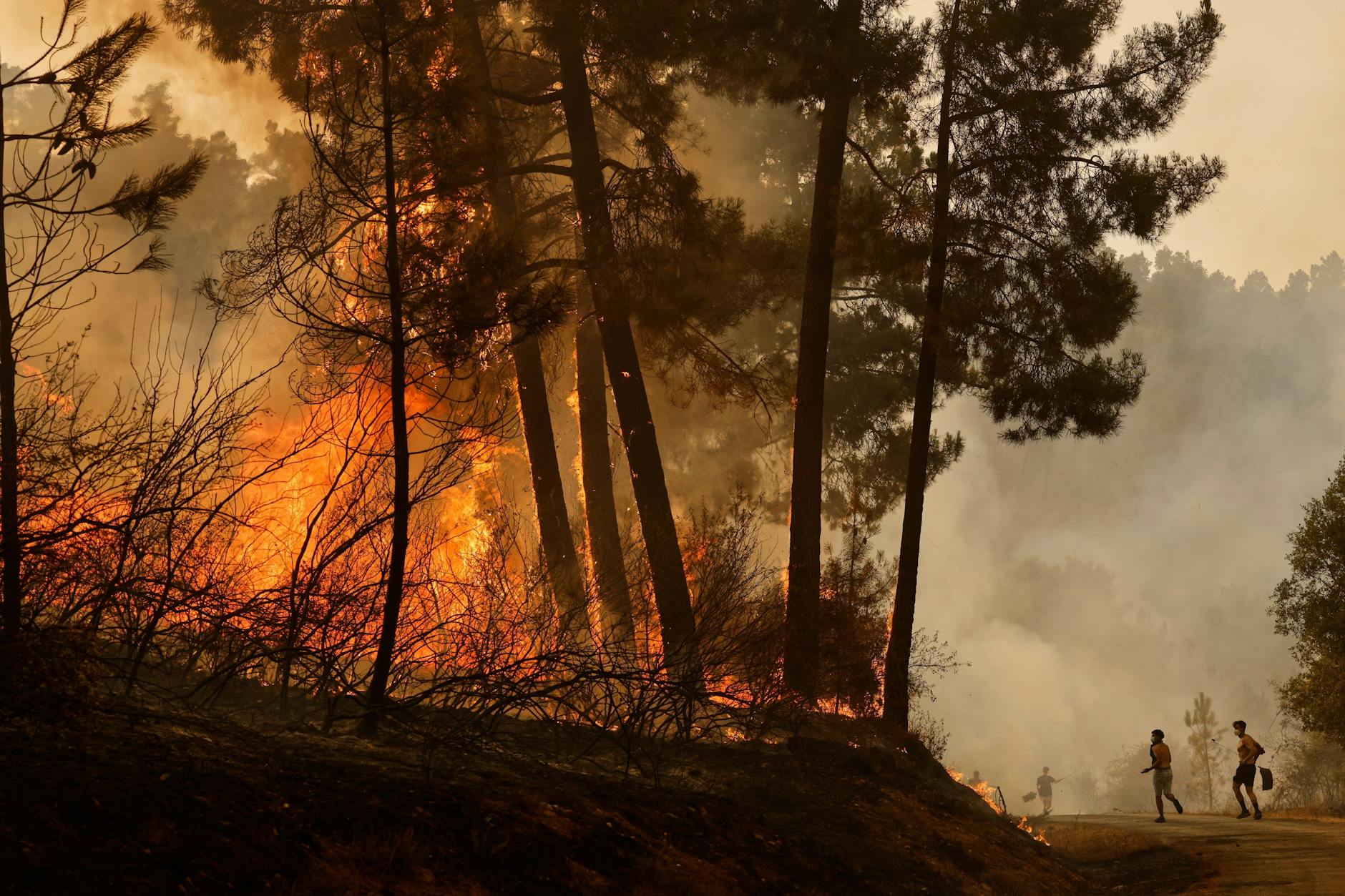 Spanien, Larouco: Anwohner und freiwillige Helfer versuchen einen Waldbrand zu löschen.
