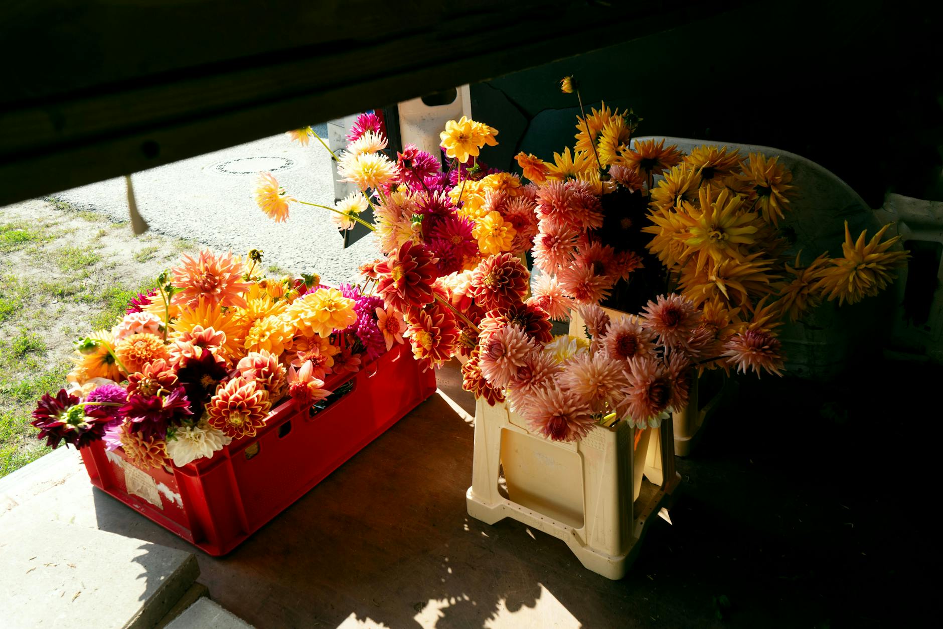 Eingepackt und mitgenommen: Nur ein Teil der Blumen kommt vom eigenen Feld.