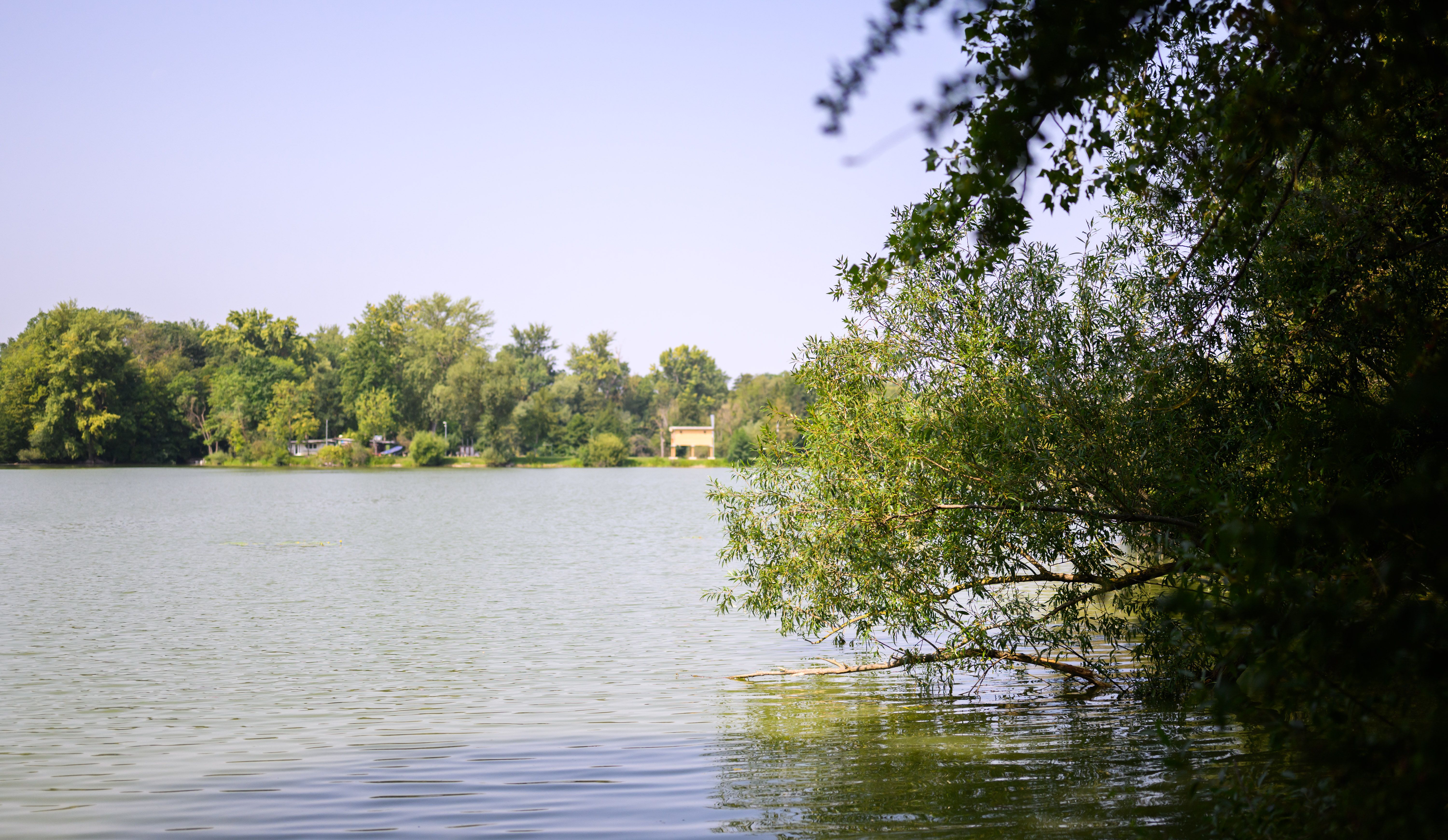 Toter im Tegeler See: Mann wollte seinen 14-jährigen Bruder retten