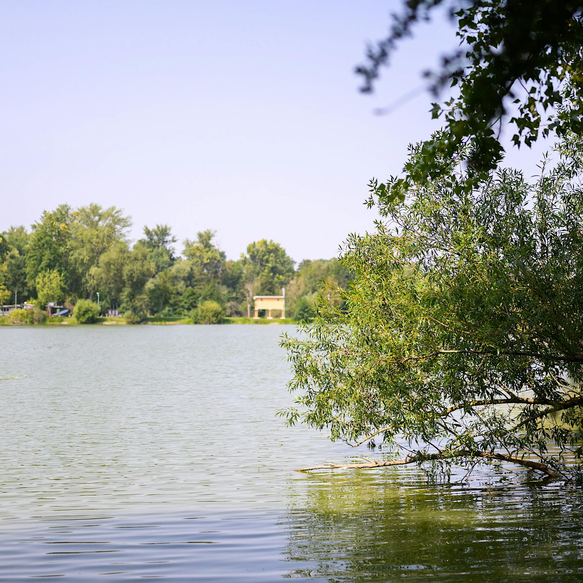 Toter im Tegeler See: Mann wollte seinen 14-jährigen Bruder retten