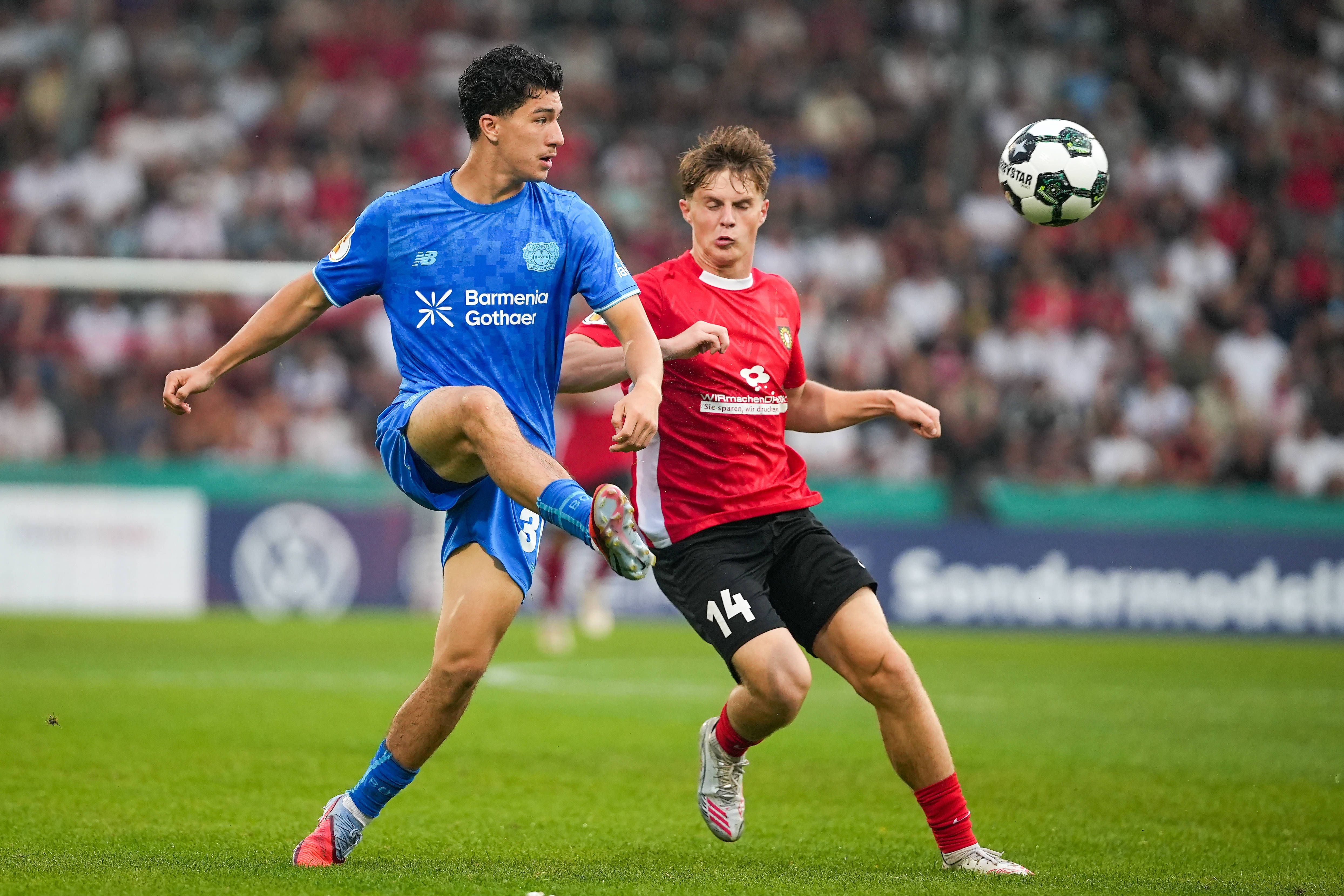 Image - Hertha-Juwele: Maza glänzt bei Bayer, Bence Dardai bleibt nur Wölfe-Joker