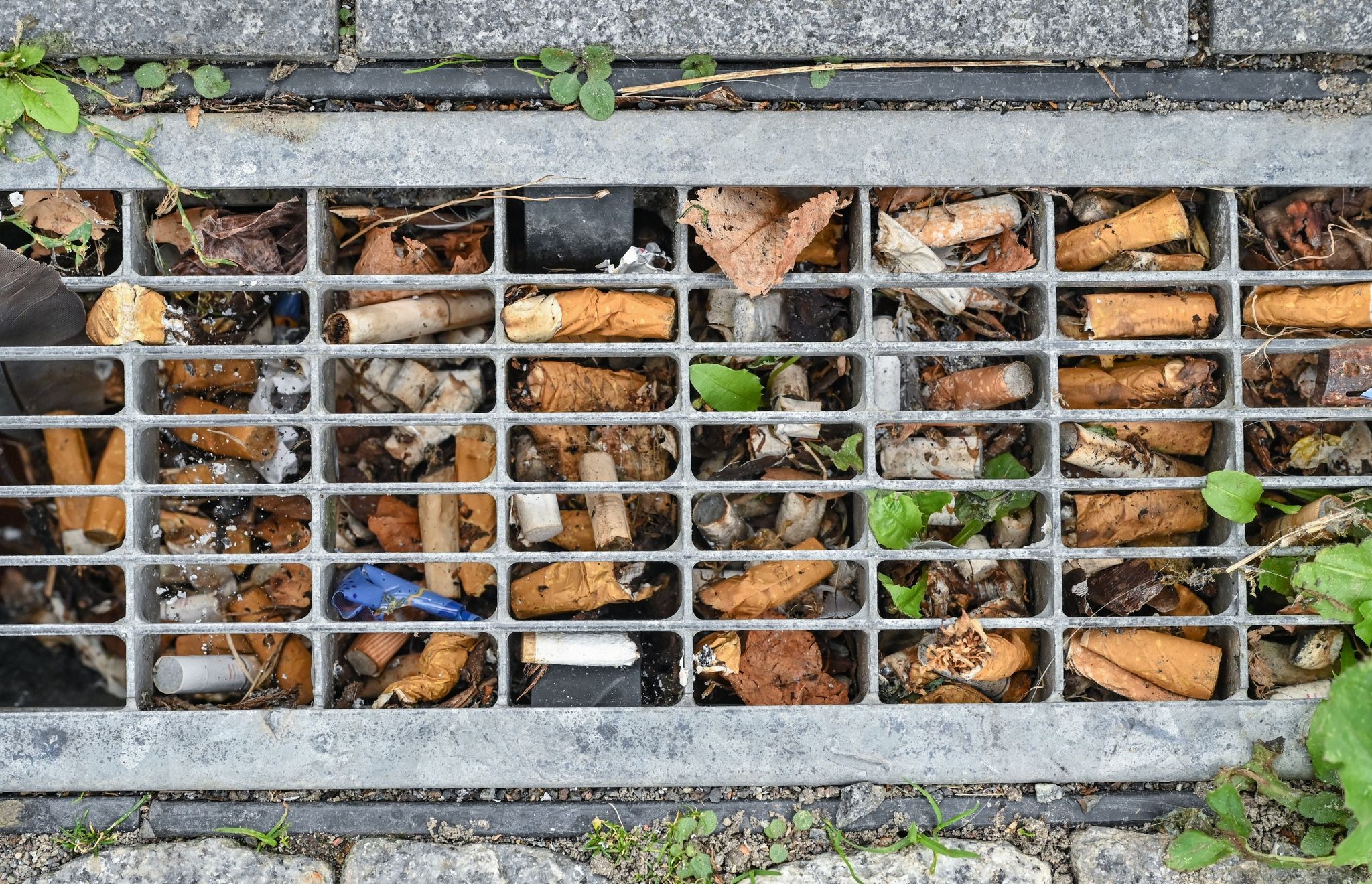 Neue Müll-Bußgelder in Berlin: Zigarettenkippen wegwerfen kostet künftig 250 Euro