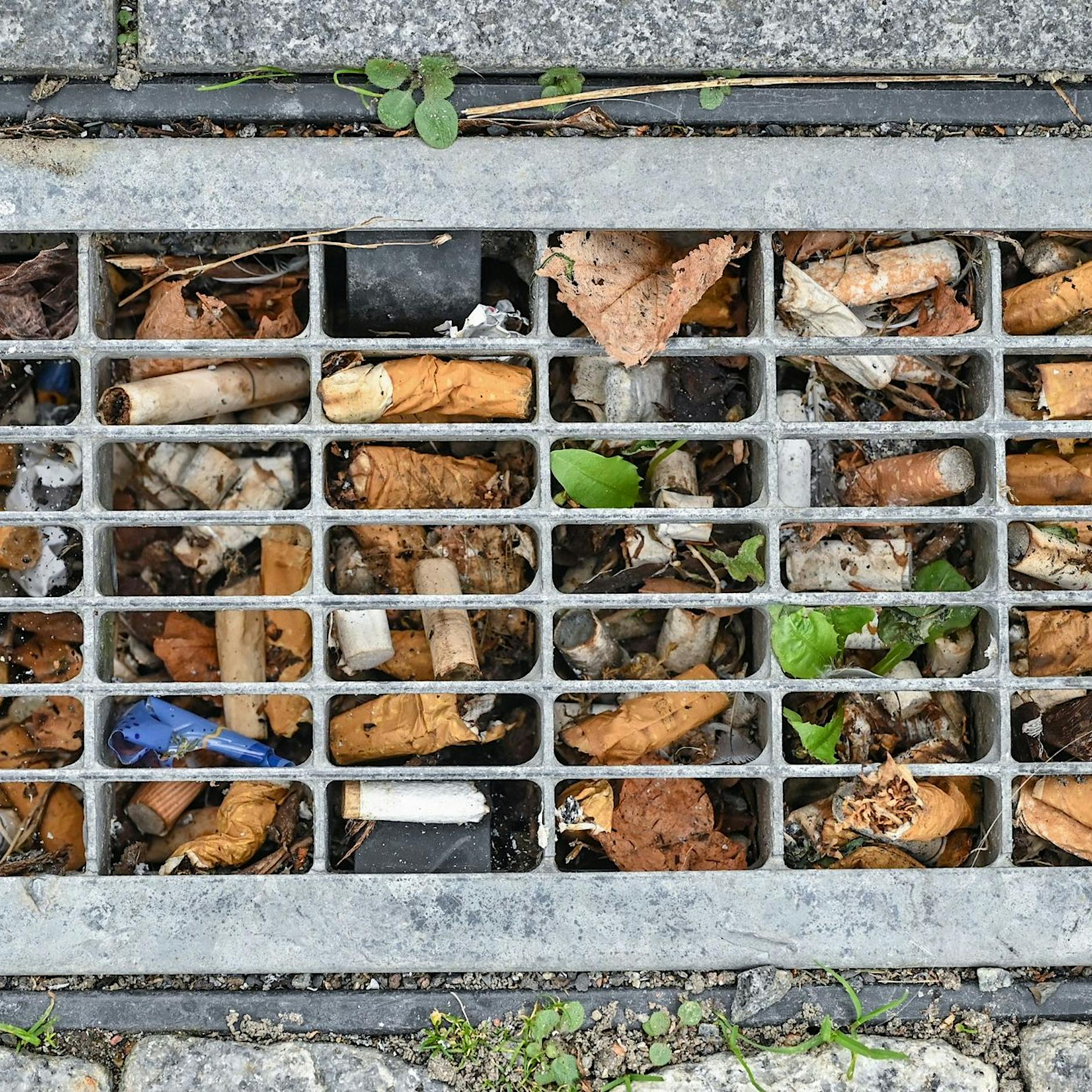 Neue Müll-Bußgelder in Berlin: Zigarettenkippen wegwerfen kostet künftig 250 Euro