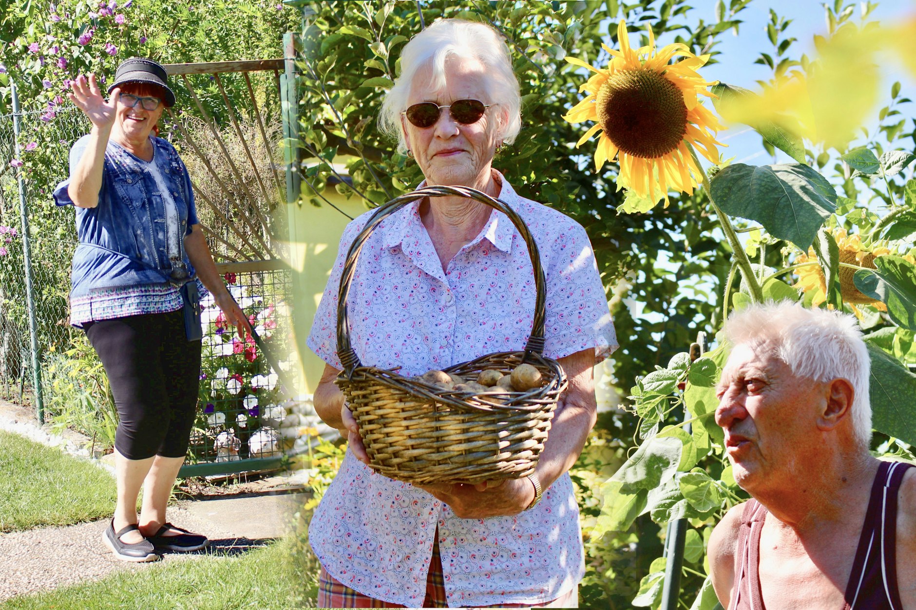 Berlins Kleingärtner haben viele Tricks drauf, damit die Blumen noch prächtiger, die Kürbisse noch dicker und die Äpfel noch praller werden. Bei einem Rundgang in Pankow traf der KURIER unter anderem auf die Garten-Profis Sigrid, Christa und Günter.