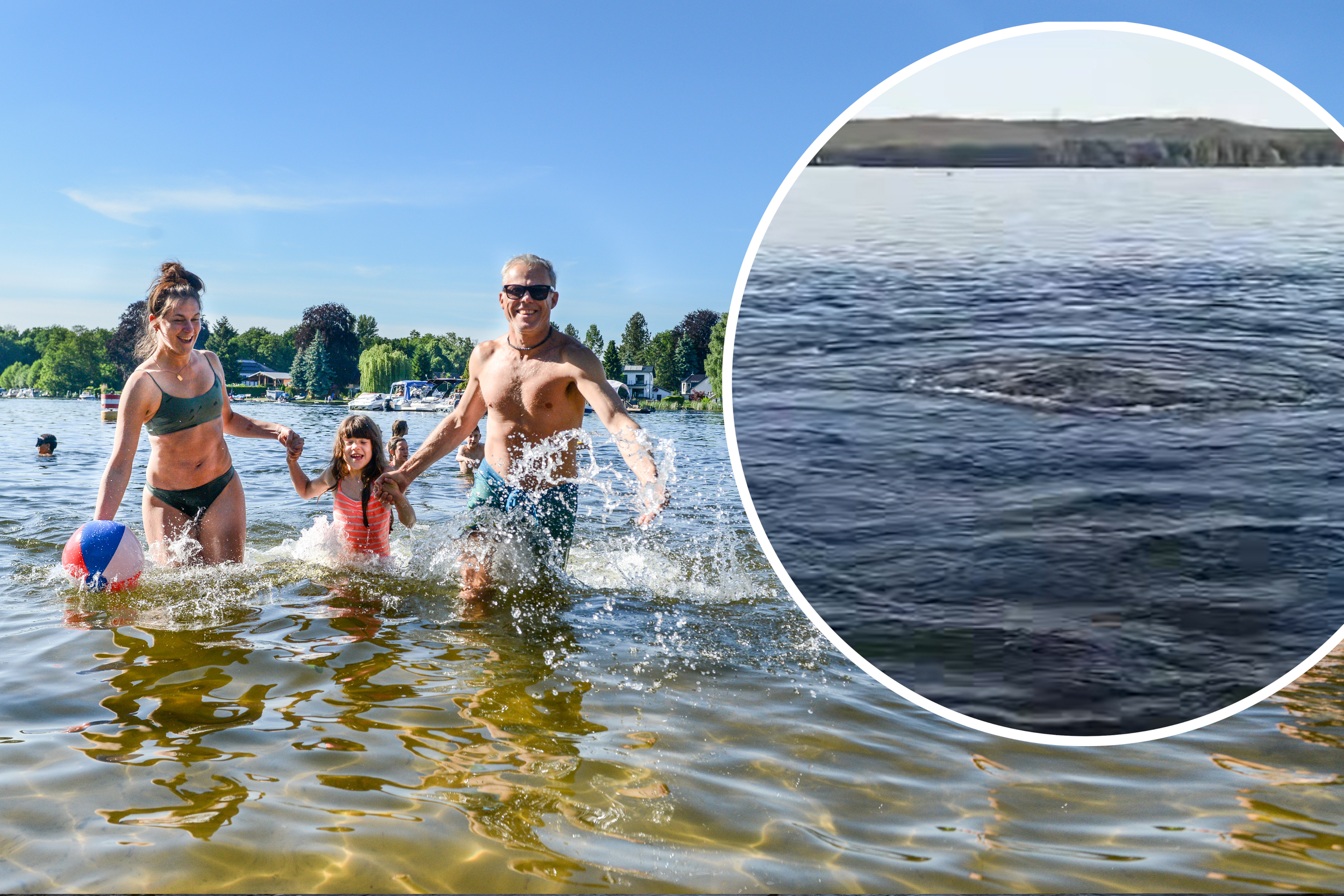 Hilfe, der Müggelsee blubbert! Was steckt hinter dem Phänomen?
