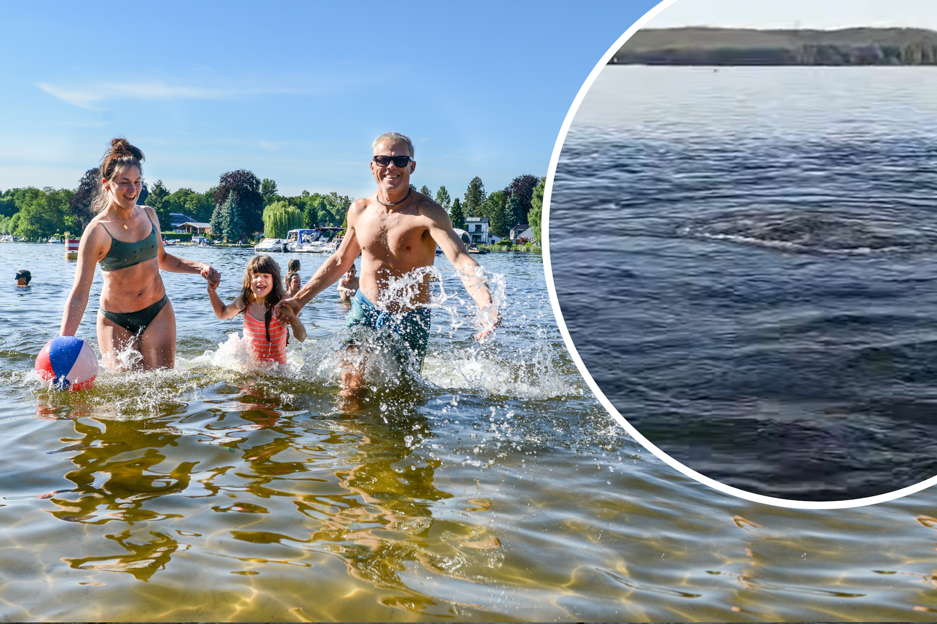 Hilfe, der Müggelsee blubbert! Ein Video des seltsamen Phänomens verbreitet sich gerade auf Facebook. Was steckt dahinter?