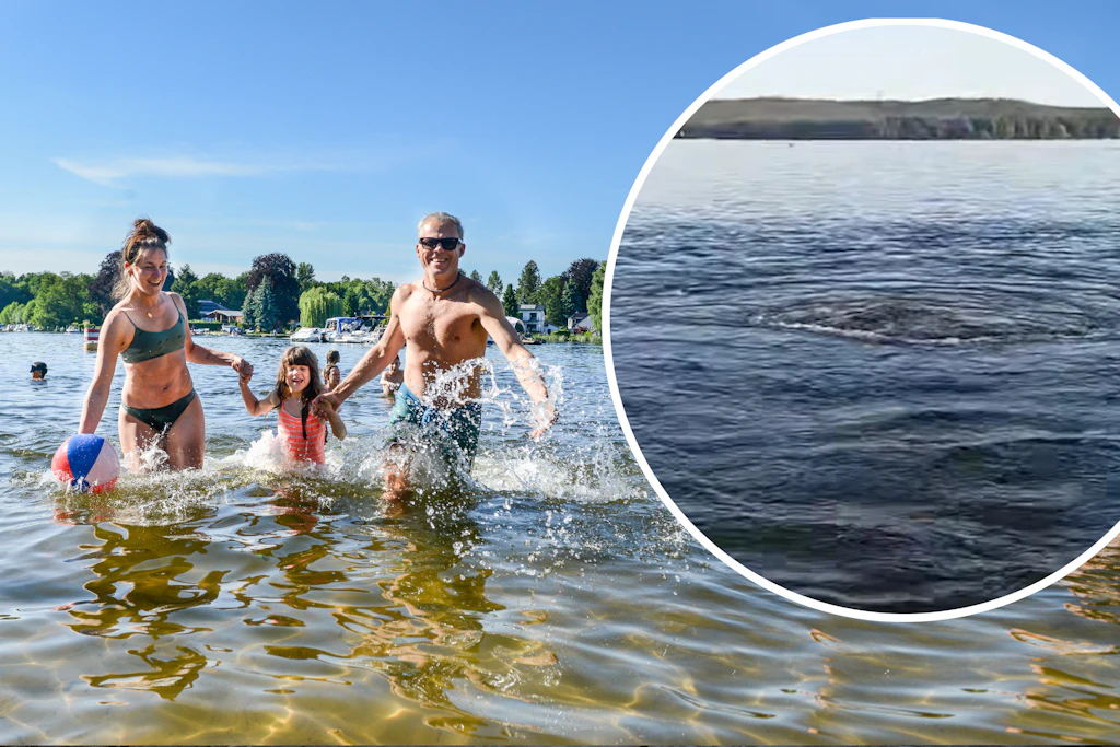 Hilfe, der Müggelsee blubbert! Was steckt hinter dem Phänomen?