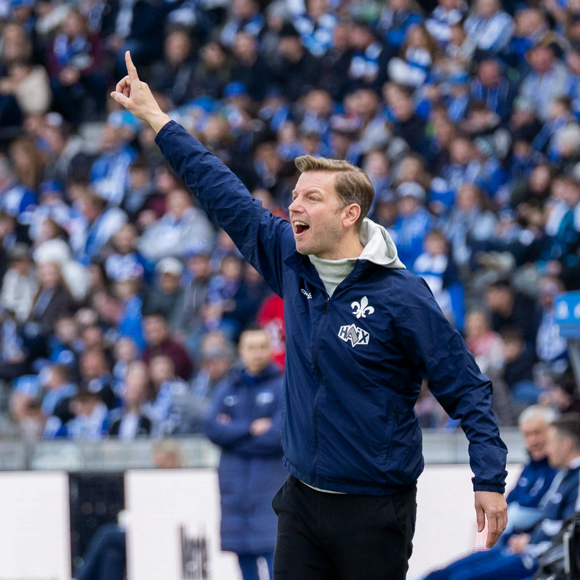 Auch das noch! Darmstadts Kohfeldt ist der Hertha-Trainerschreck