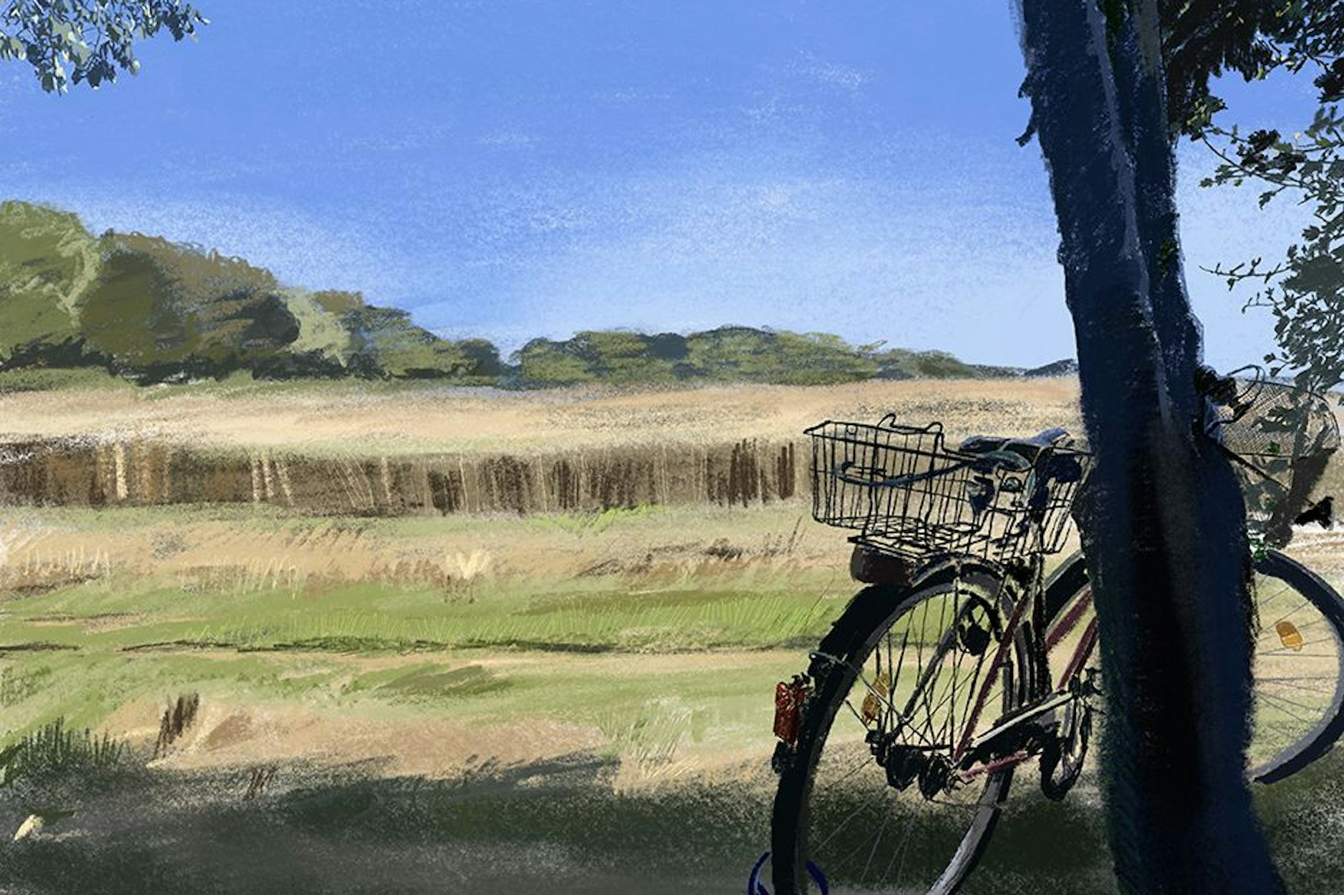 Ein Fahrrad lehnt neben einem Feld an einem Baum. Verliert Ostdeutschland seinen Reiz bei Touristen?