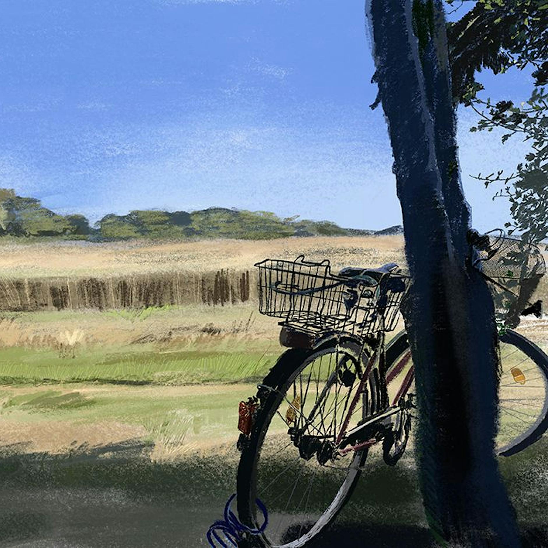 Meiden Urlauber wegen der AfD den Osten? „Das halte ich für ziemlichen Medienkram“