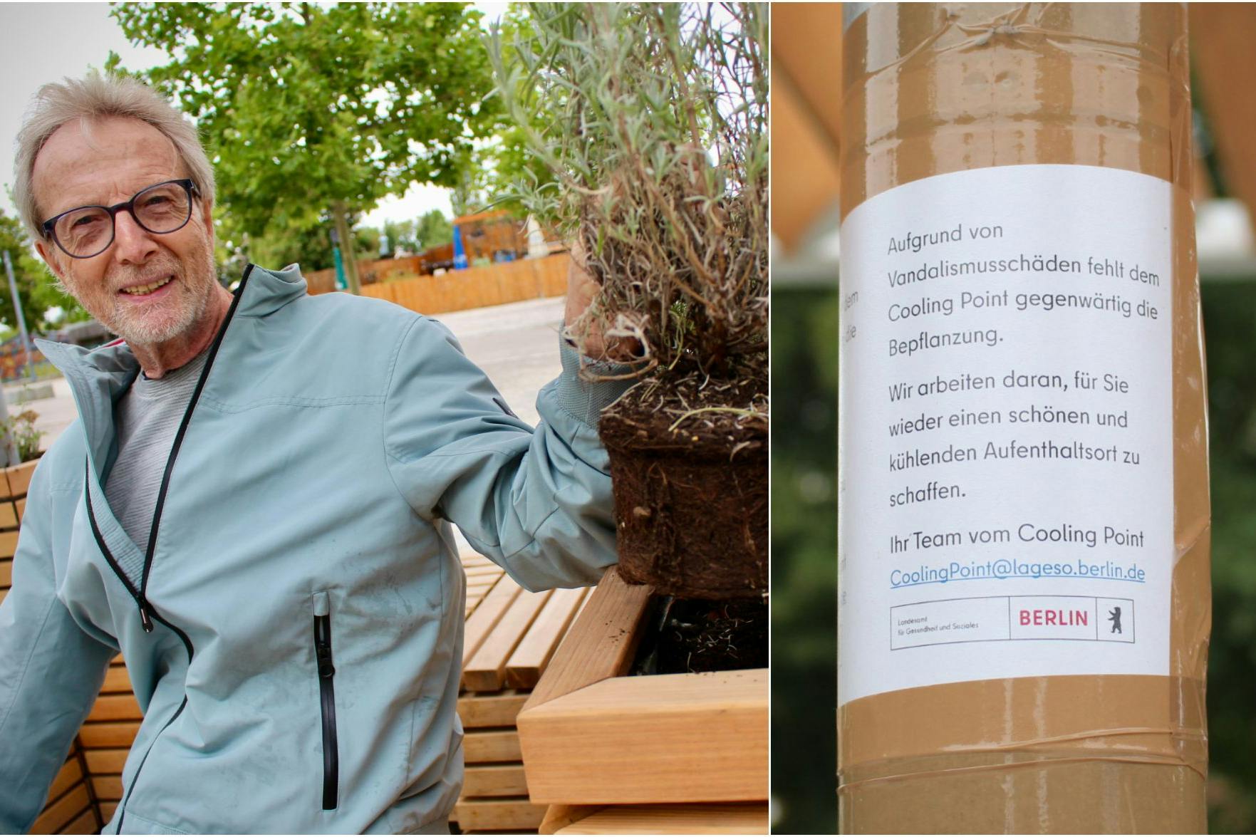 Armin Scholz (74) aus München zeigt sich entsetzt, als er einen lieblos gepflanzten Lavendelstrauch hochhebt und sagt: „Das ist blamabel.“ Am Cooling Point fehlt inzwischen größtenteils die Bepflanzung, wie auf einem Zettel des Landesamts für Gesundheit und Soziales zu lesen ist – angeblich wegen Vandalismus.