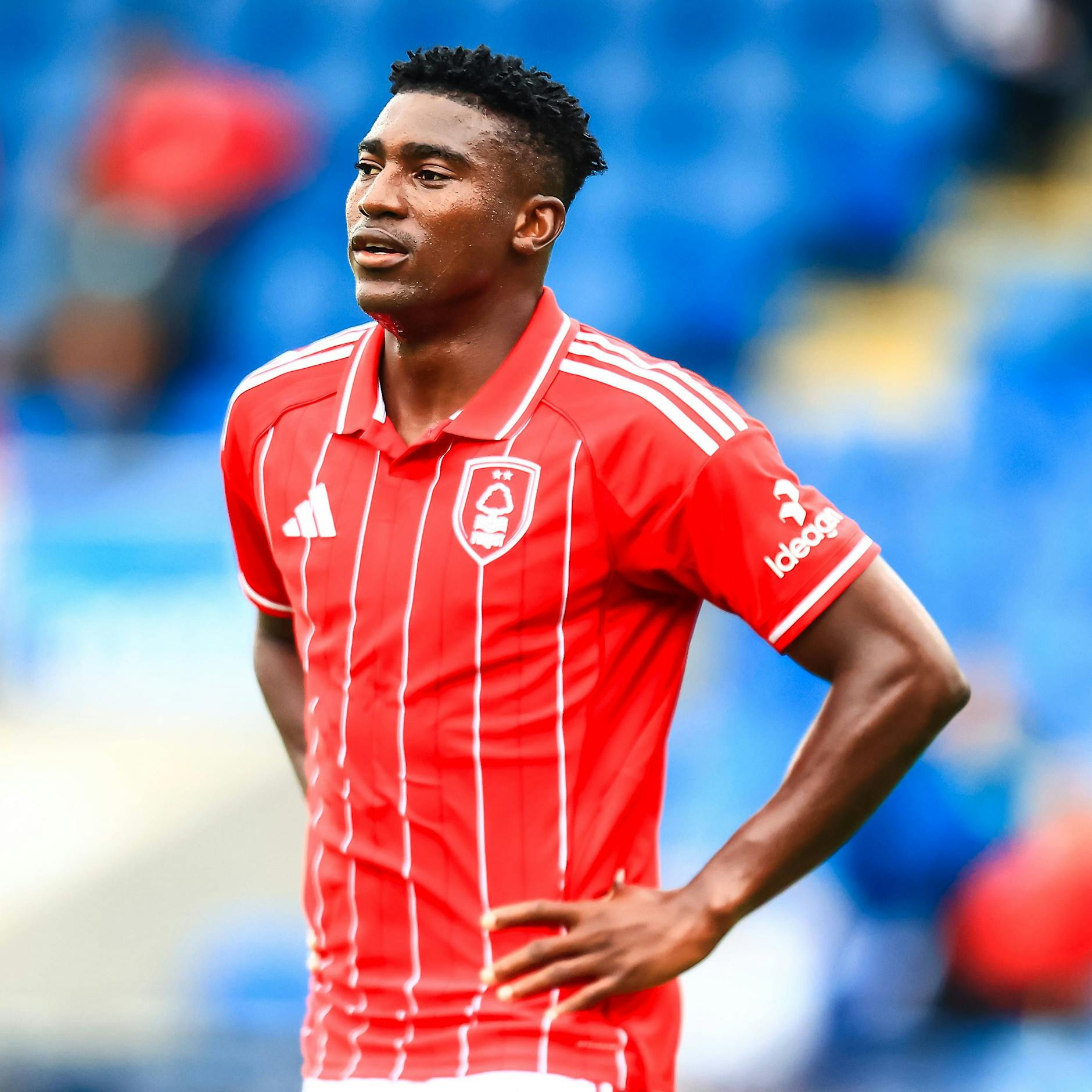 Image - Verwirrung um Awoniyi: Kehrt der Ex-Union-Stürmer in die Bundesliga zurück?