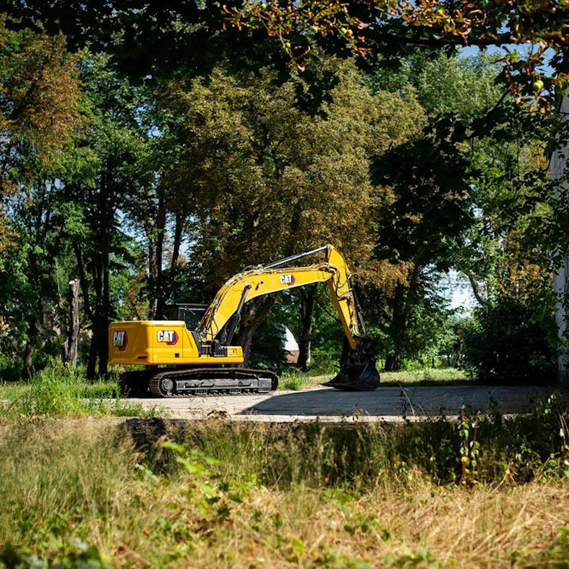 Berlin opfert seine Bäume: Rettet den Plänterwald – bevor es zu spät ist!