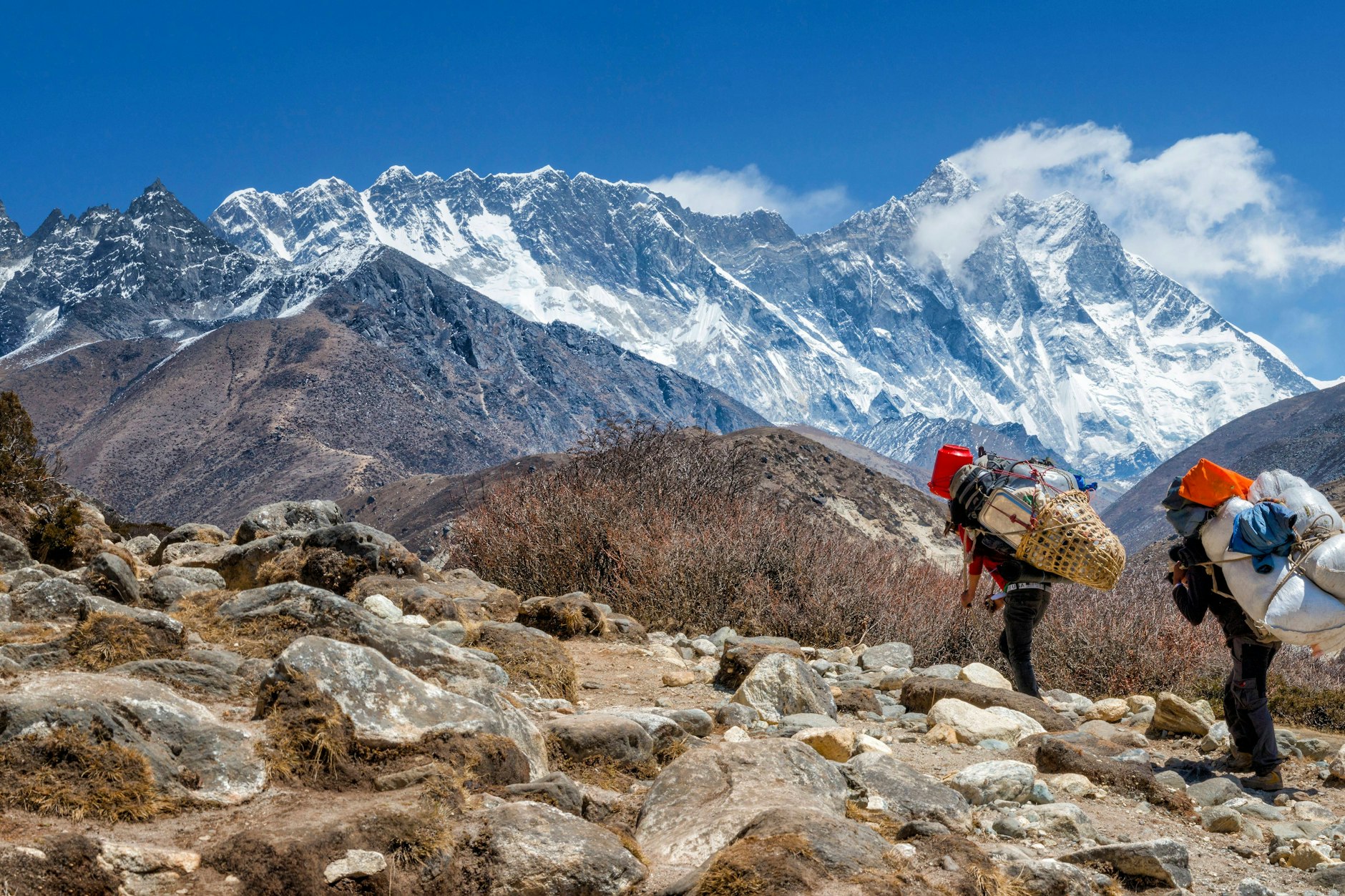 Sherpas tragen Lasten im Himalaya. Ihr Leben in großer Höhe hat offenbar zur evolutionären Anpassung geführt. Atemwege und Nieren arbeiten anders als bei Menschen aus dem Flachland.