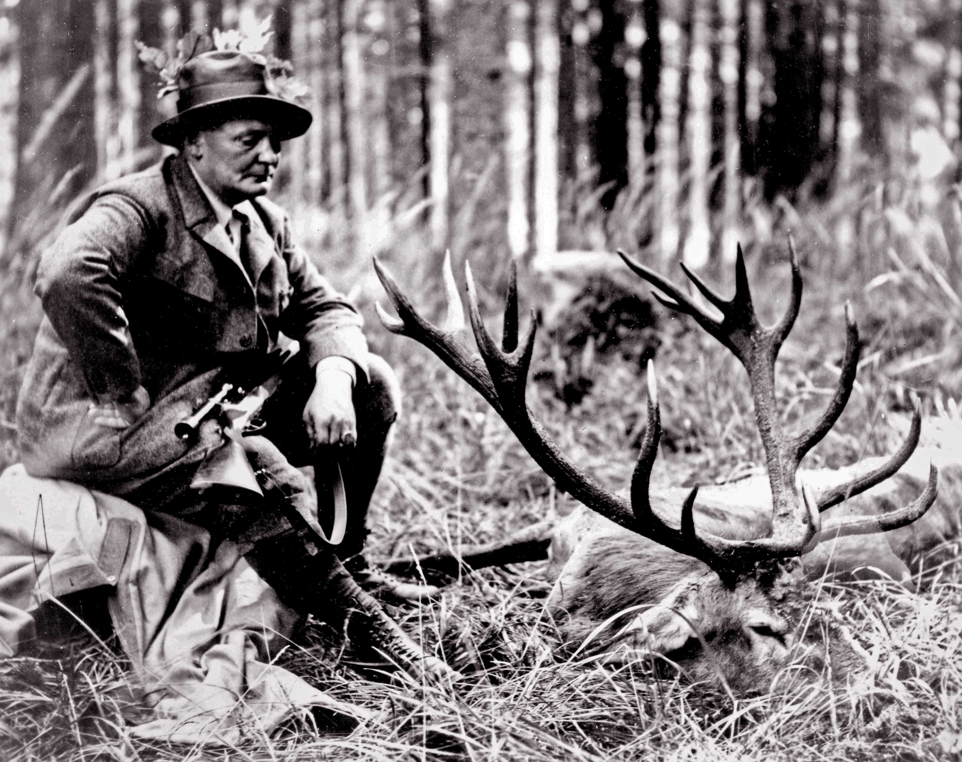 Image - Wie Hermann Göring zu einem der gefährlichsten Nazis wurde: Ein Psychogramm