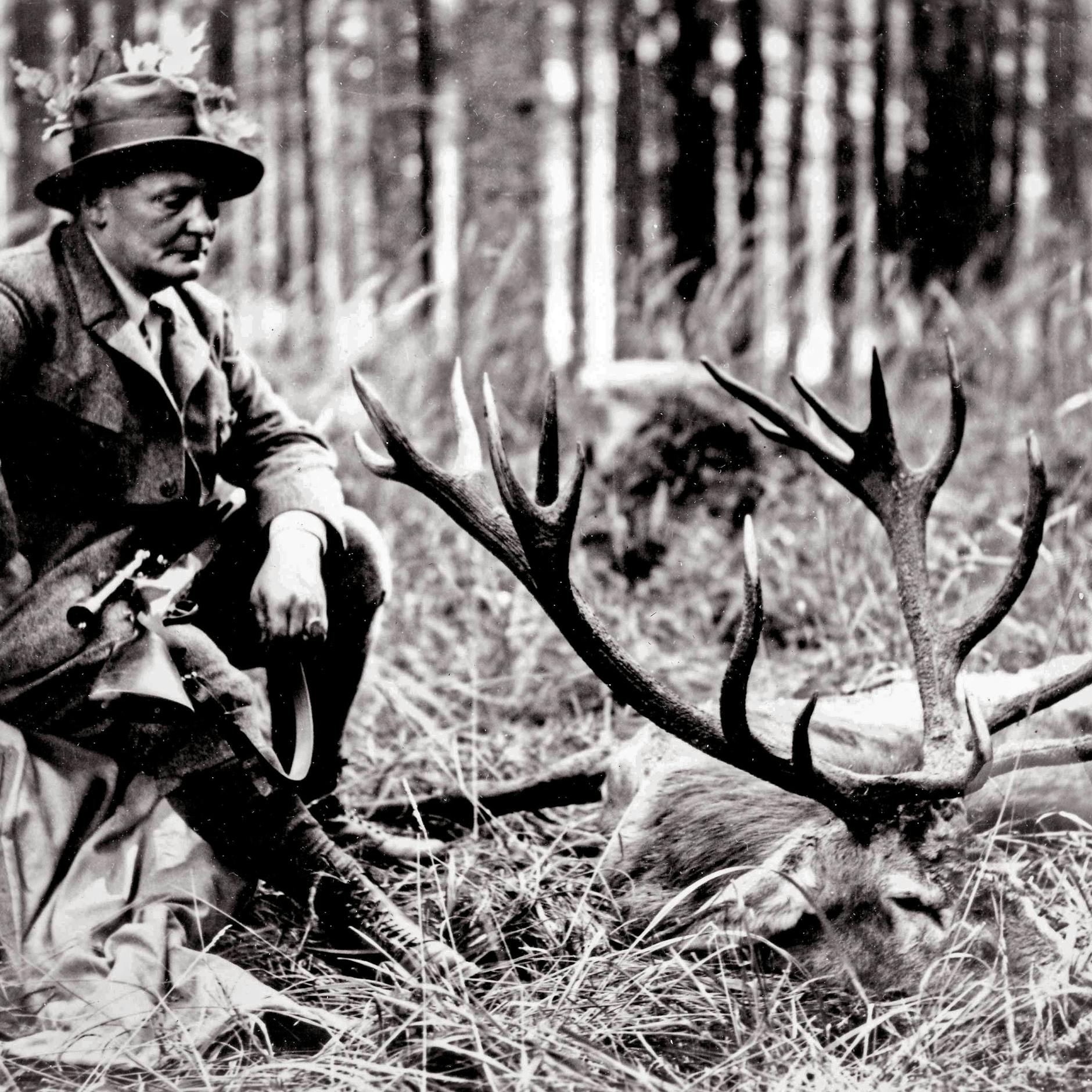 Image - Wie Hermann Göring zu einem der gefährlichsten Nazis wurde: Ein Psychogramm