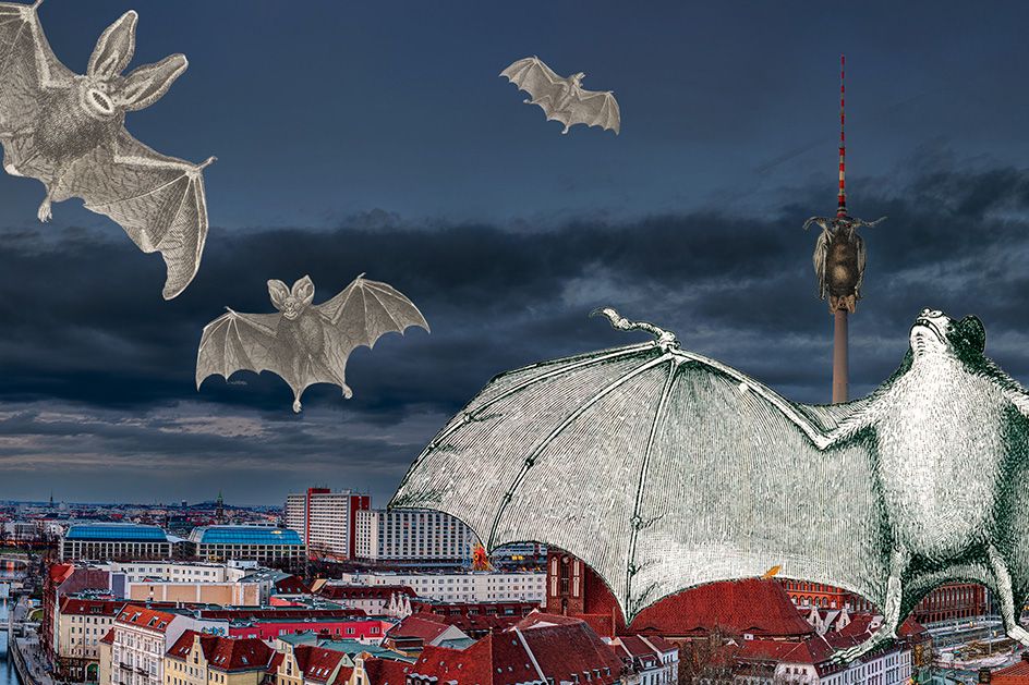 Fledermaus-Hauptstadt: So lassen sich die Tiere in Berlin beobachten – und retten