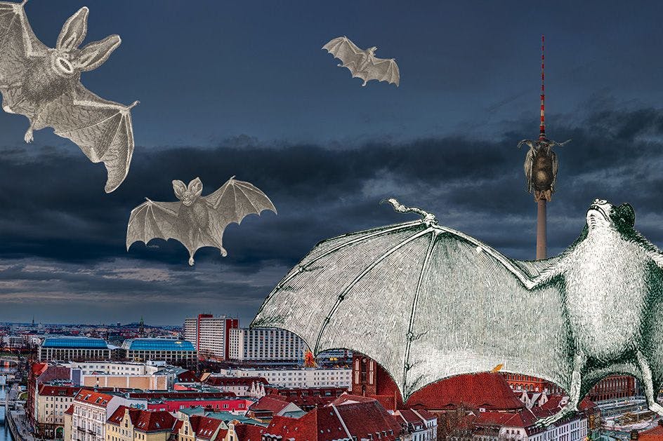 Auch in Berlin: Am letzten Augustwochenende findet die internationale Fledermausnacht statt.
