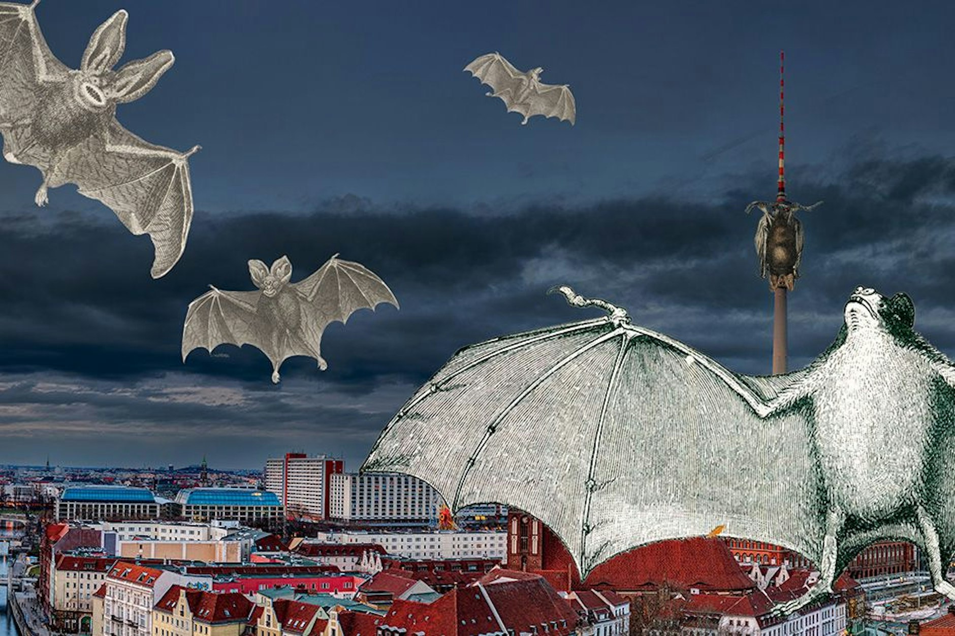 Auch in Berlin: Am letzten Augustwochenende findet die internationale Fledermausnacht statt.