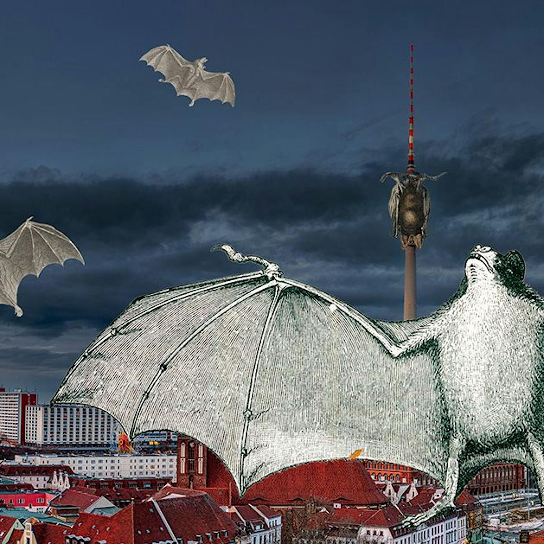 Fledermaus-Hauptstadt: So lassen sich die Tiere in Berlin beobachten – und retten