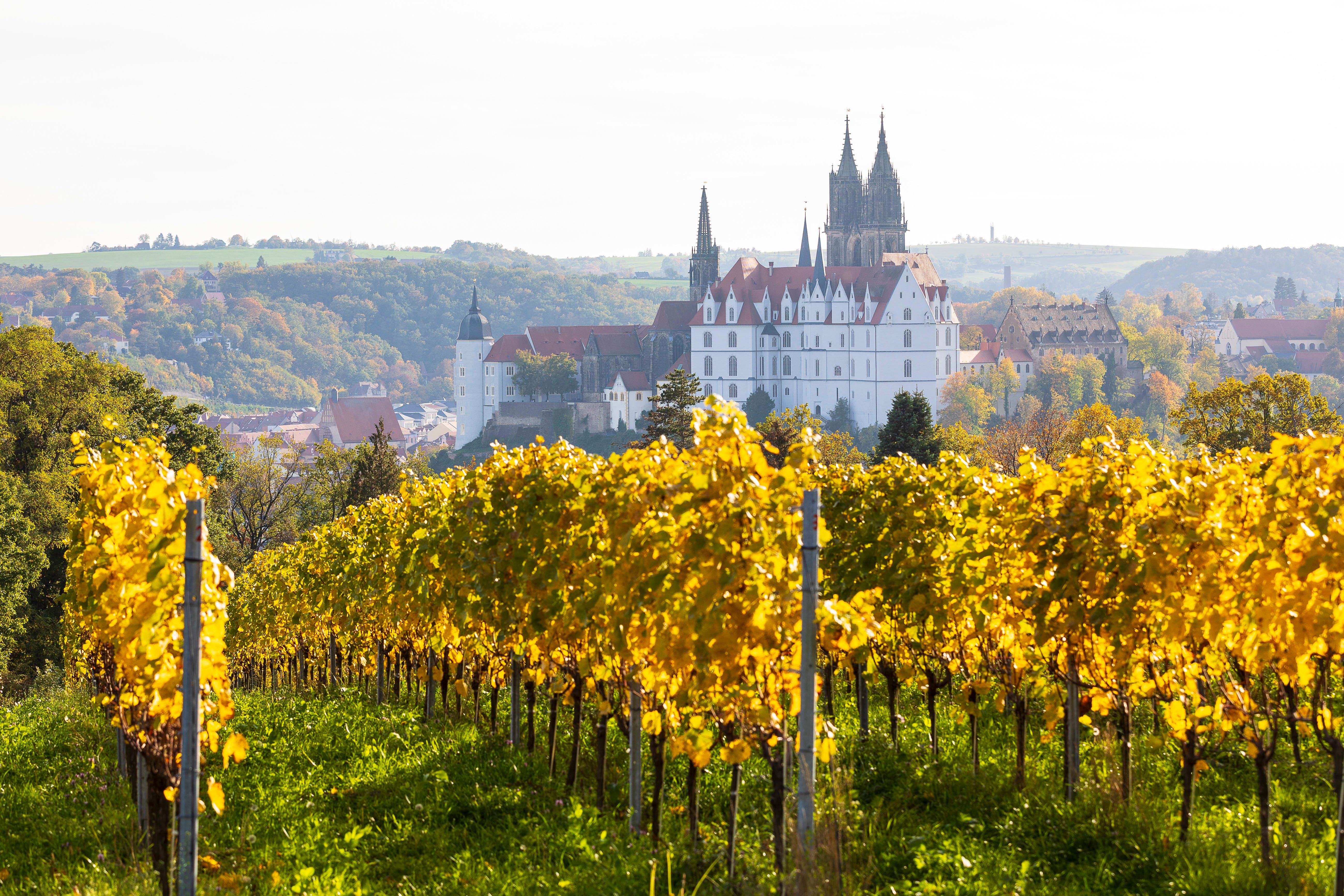 Image - Wahlkampf ohne Erlaubnis: Schloss Proschwitz distanziert sich von AfD-Video