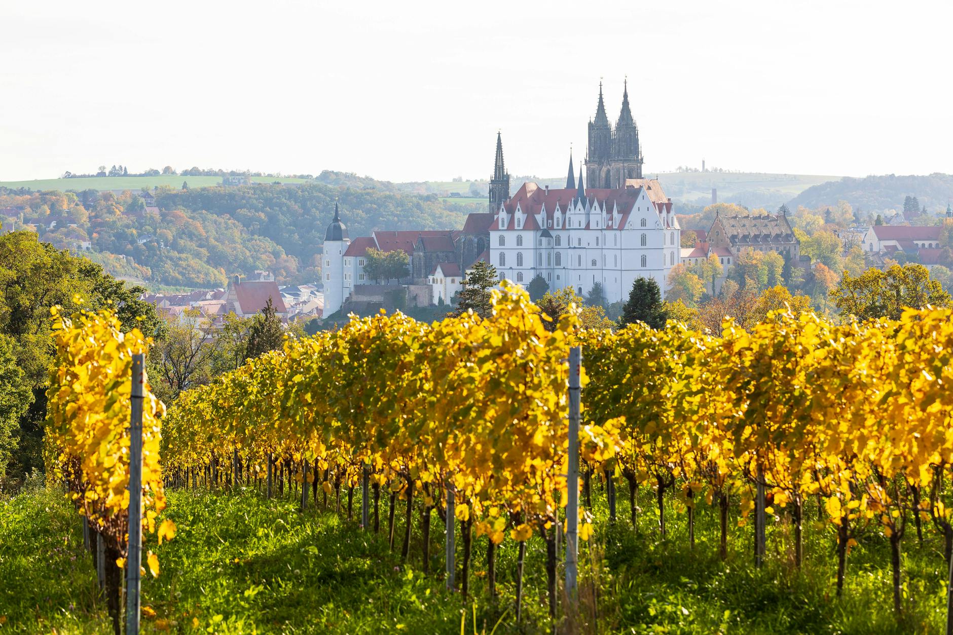 Das Weingut Schloss Proschwitz in Meißen