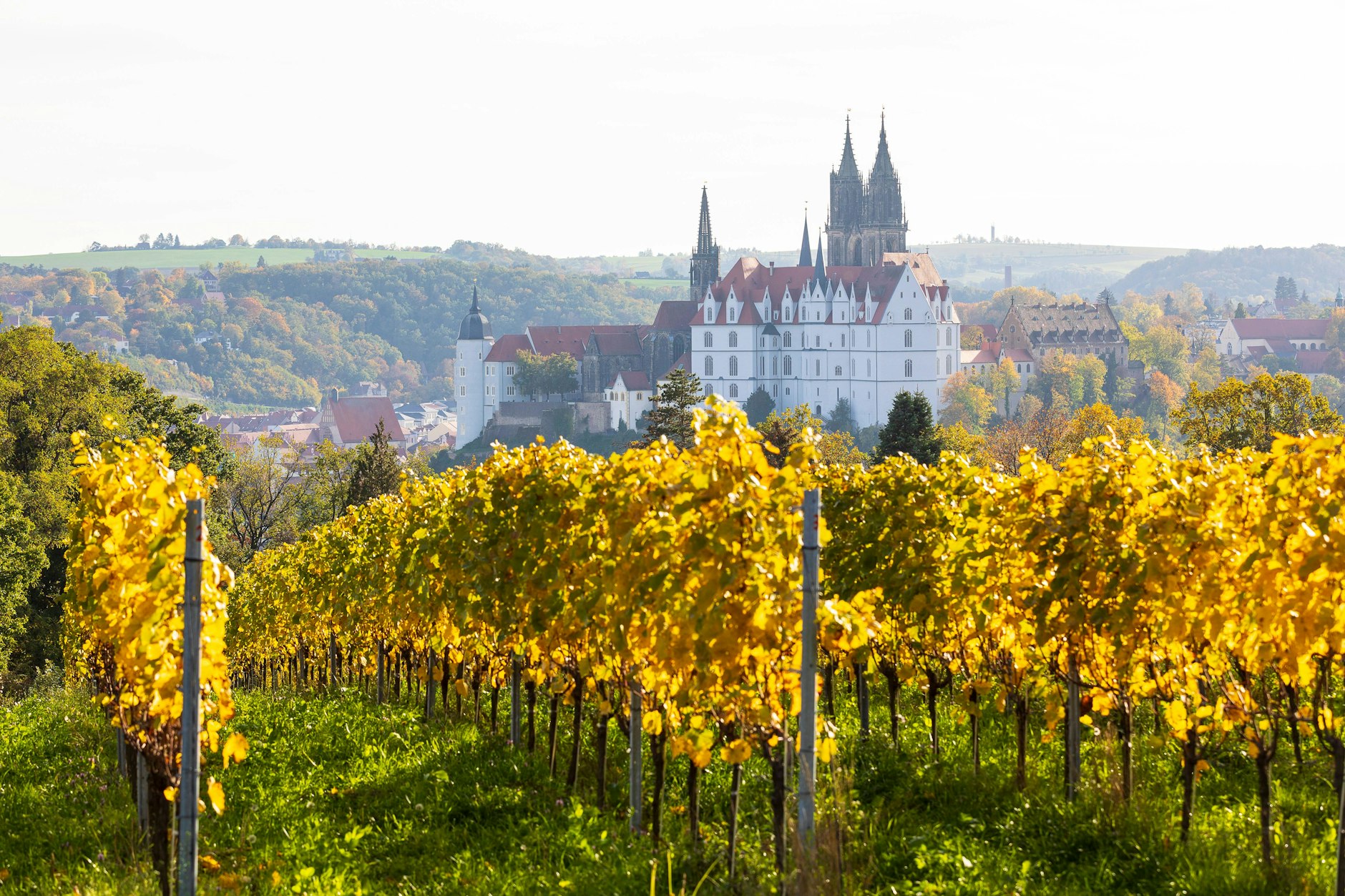 Das Weingut Schloss Proschwitz in Meißen