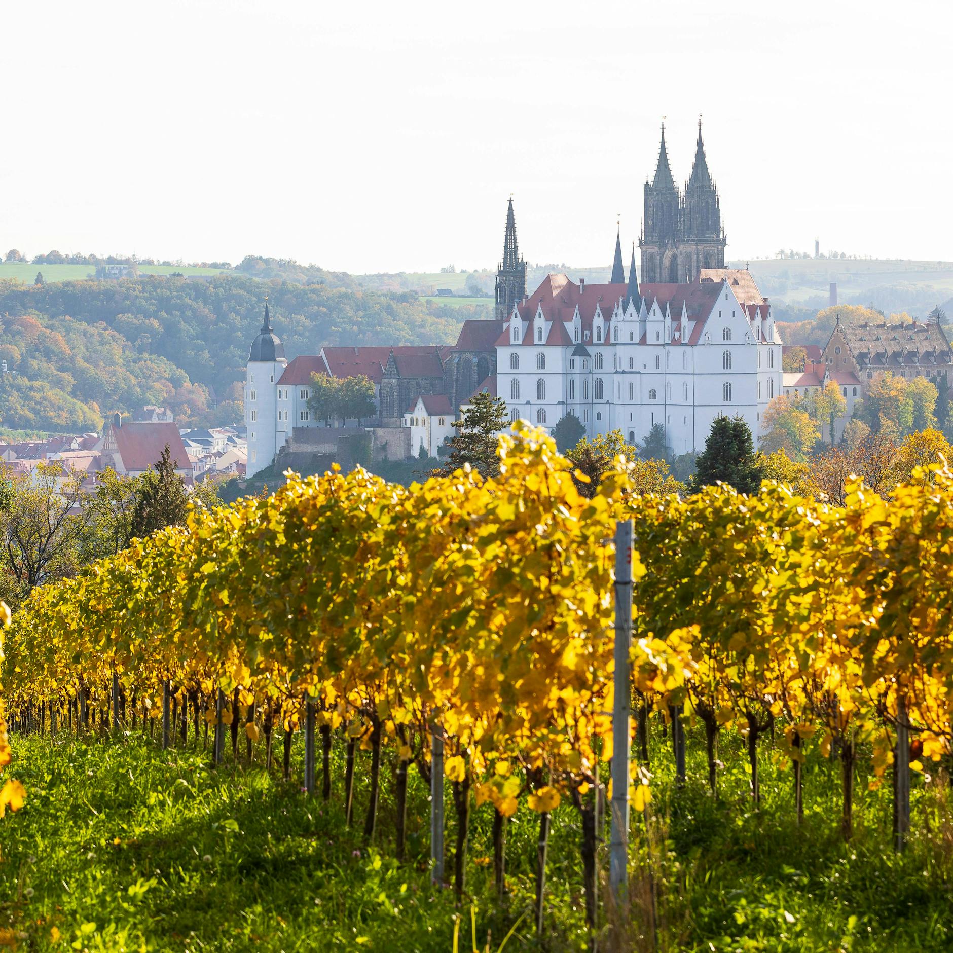 Image - Wahlkampf ohne Erlaubnis: Schloss Proschwitz distanziert sich von AfD-Video