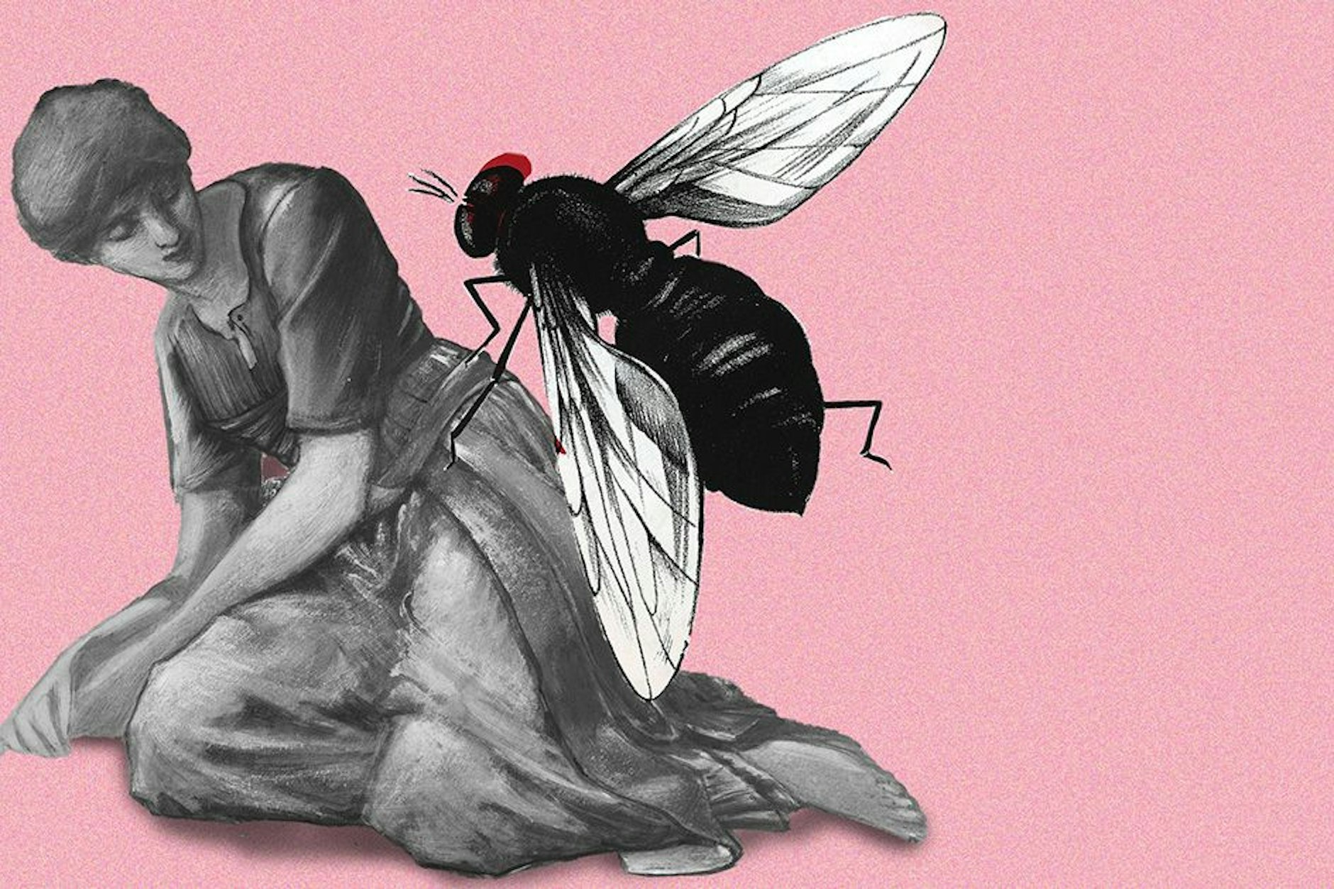 Fliegen nerven – vor allem, wenn sie auf uns landen.