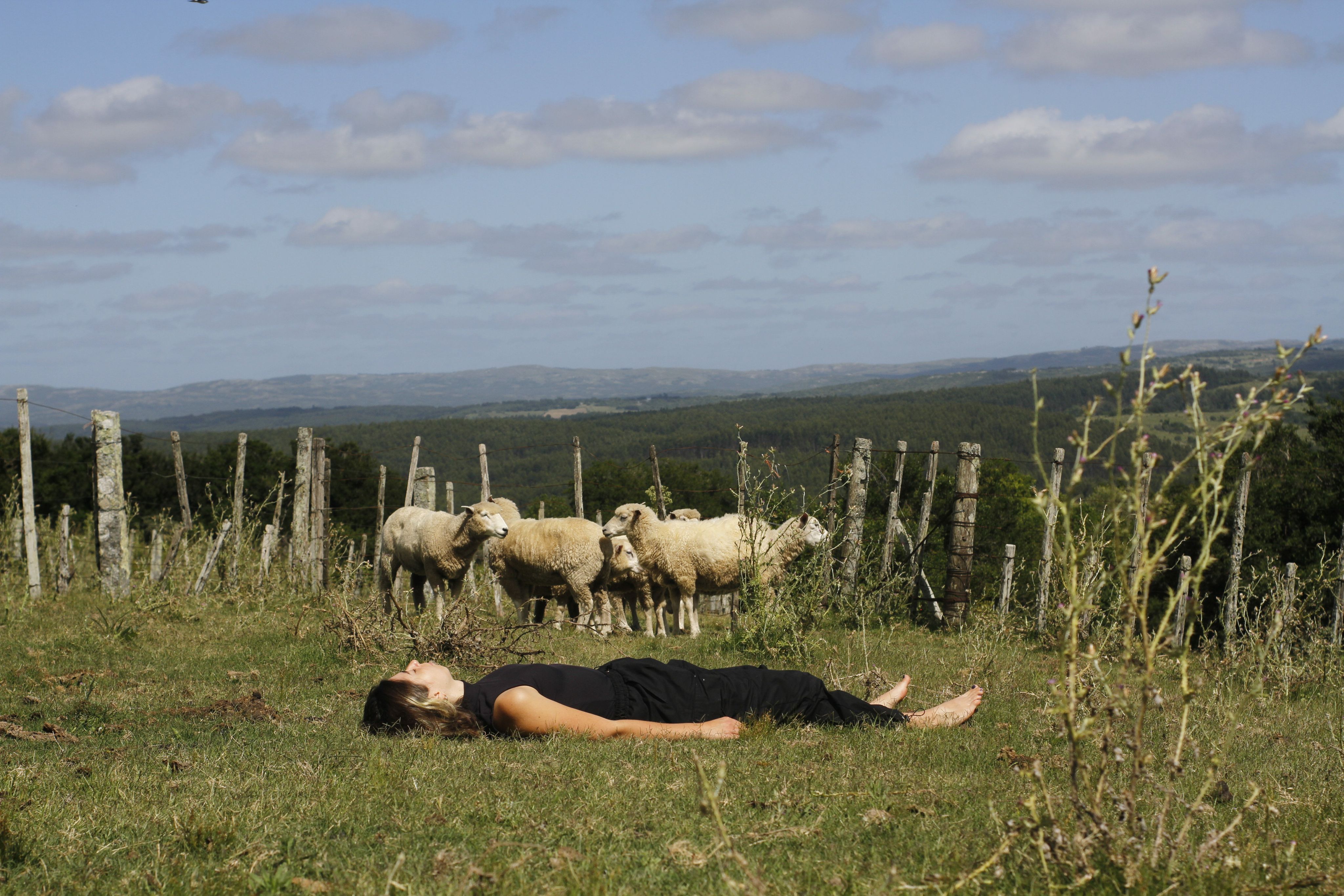 Kunstausstellung „Sleeping Resistance“ in der Alten Feuerwache Berlin: Schlafen zwischen Schafen