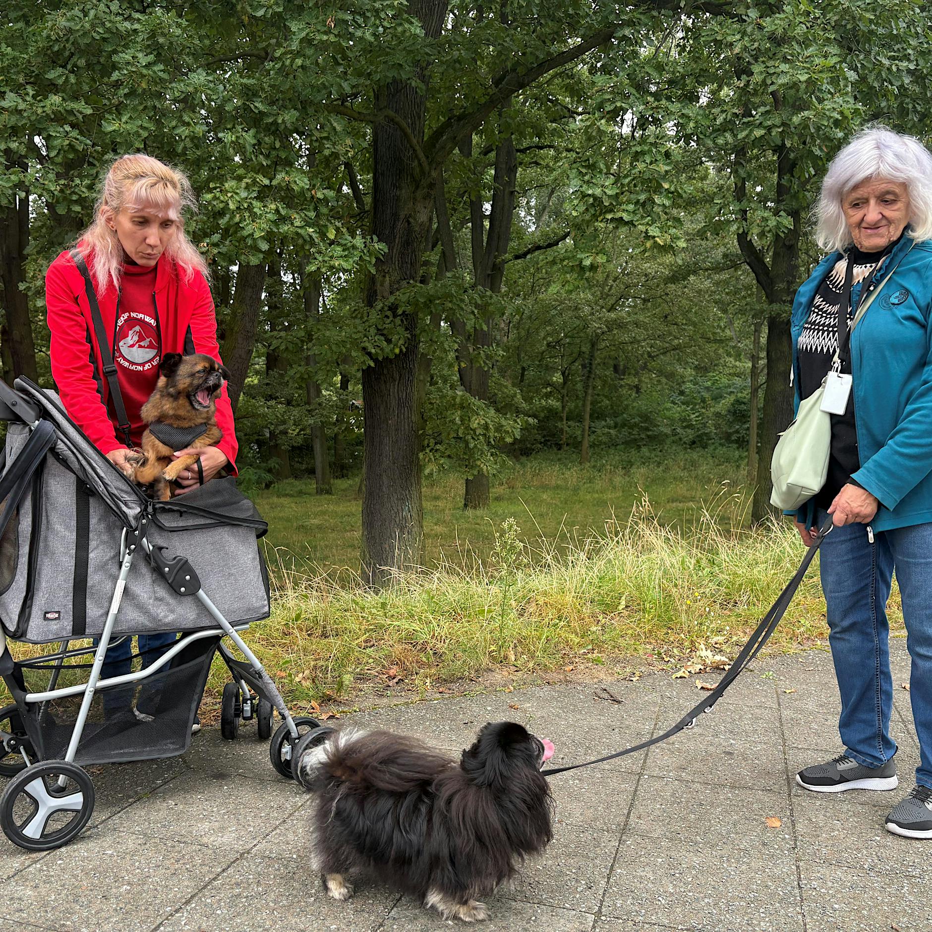 Ukrainerin fürchtet Schließung von Tegel: „Wir sollen unsere Hunde wegschaffen!“