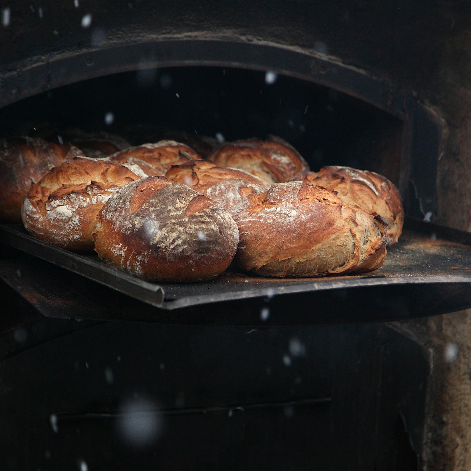 Auf zur Landpartie: Das beste Brot Brandenburgs kommt aus Schwante