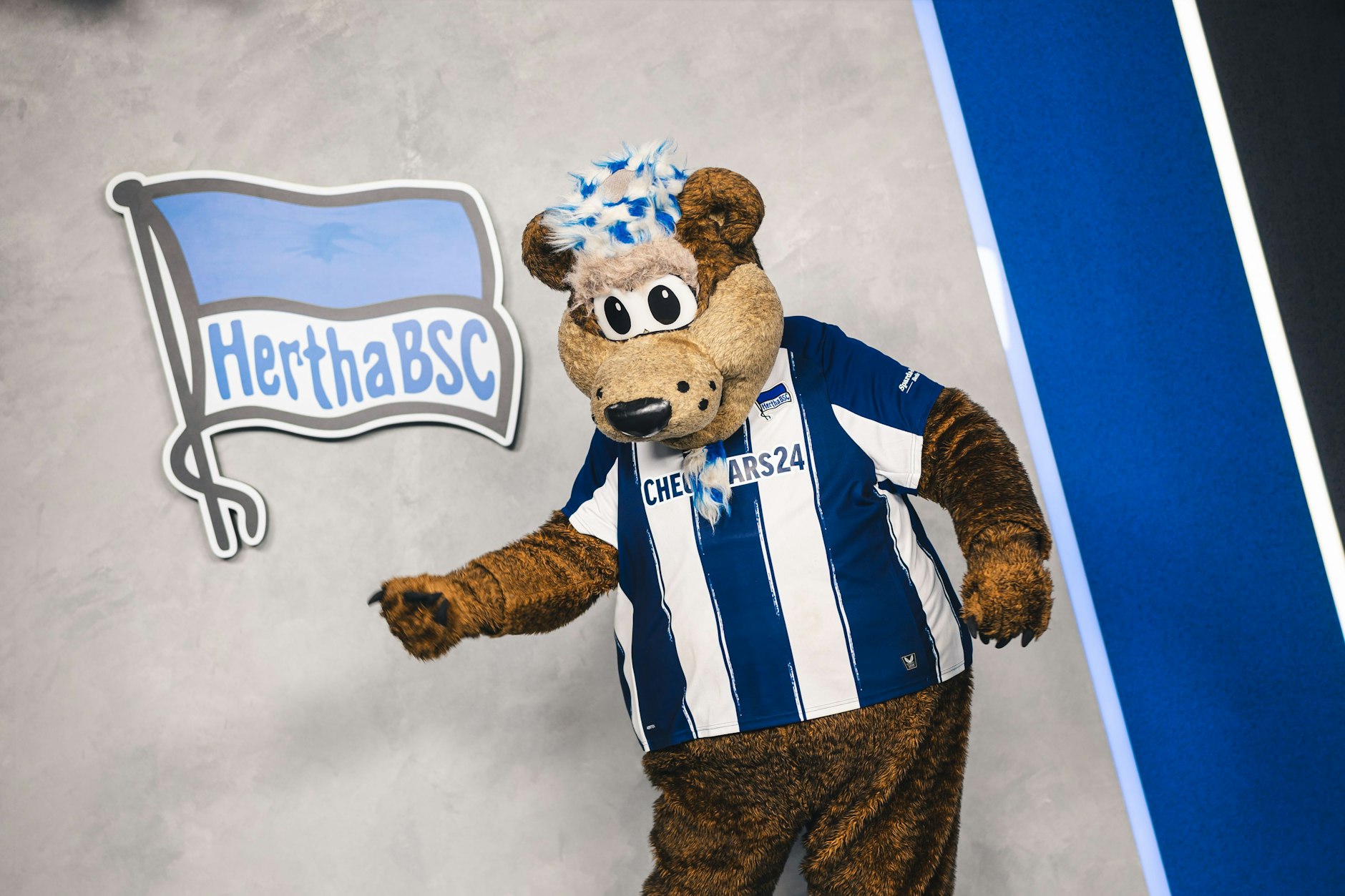 Herthinho treibt die blau-weißen Profis auch schon immer am Spielfeldrand an: Los nach vorne!