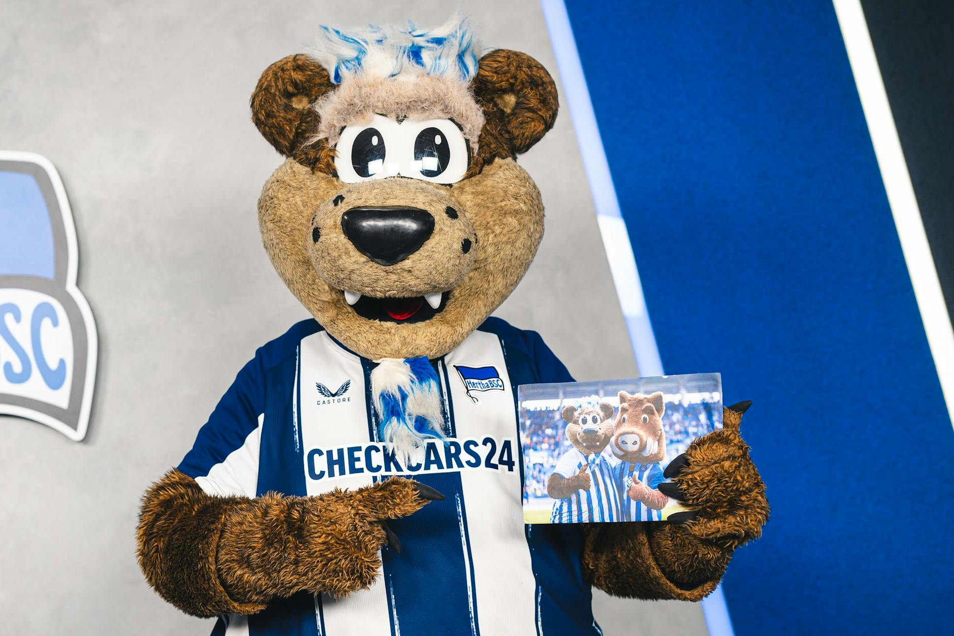 Herthinho stellt stolz seine dicksten Freunde vor: Willi Wildpark vom befreundeten Klub Karlsruher SC und lüftet ein ...