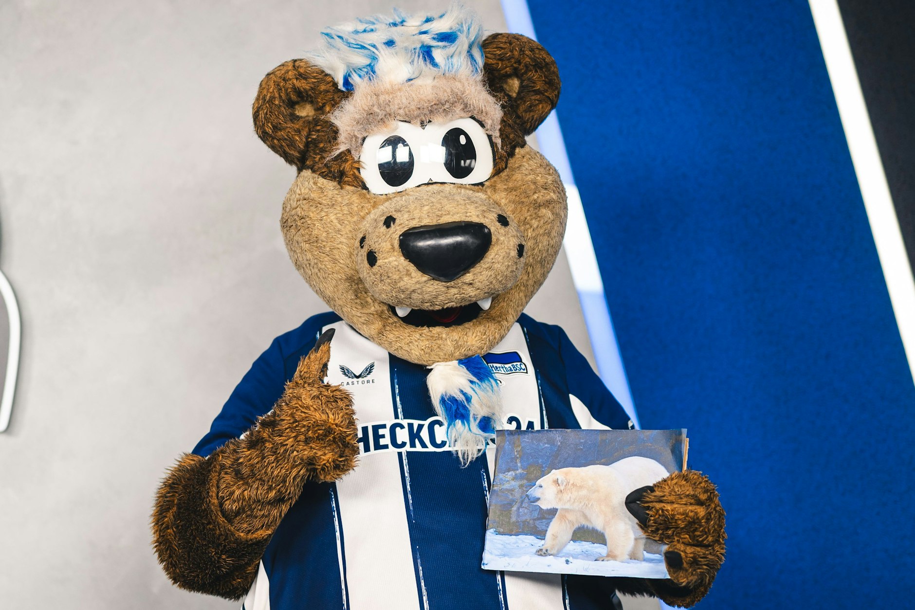 ... Hertha. Die Eisbärin vom Tierpark hat Herthinho ganz besonders ins Herz geschlossen.