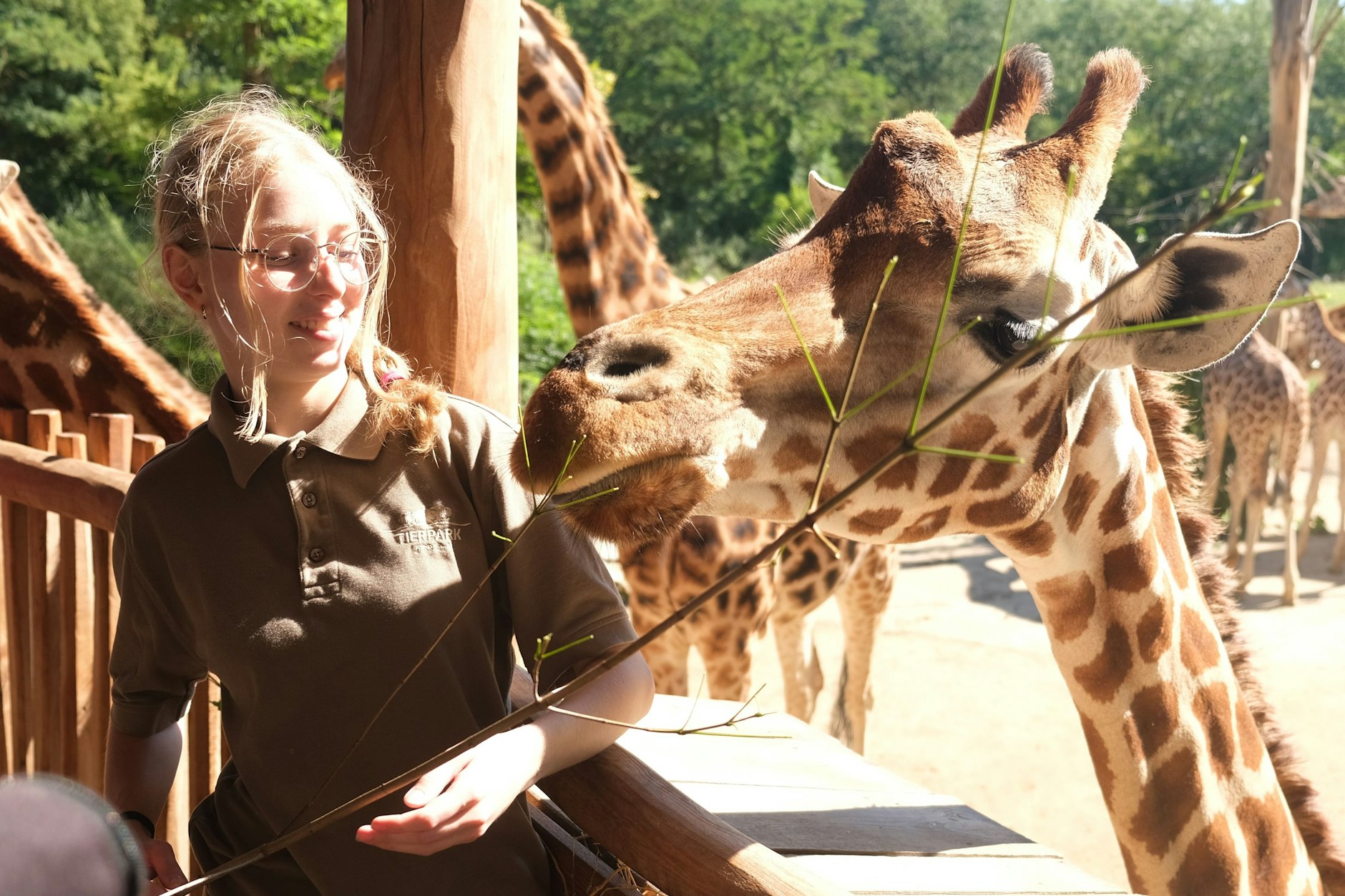 Auszubildende Amy füttert die Giraffe Paula im Tierpark Berlin.