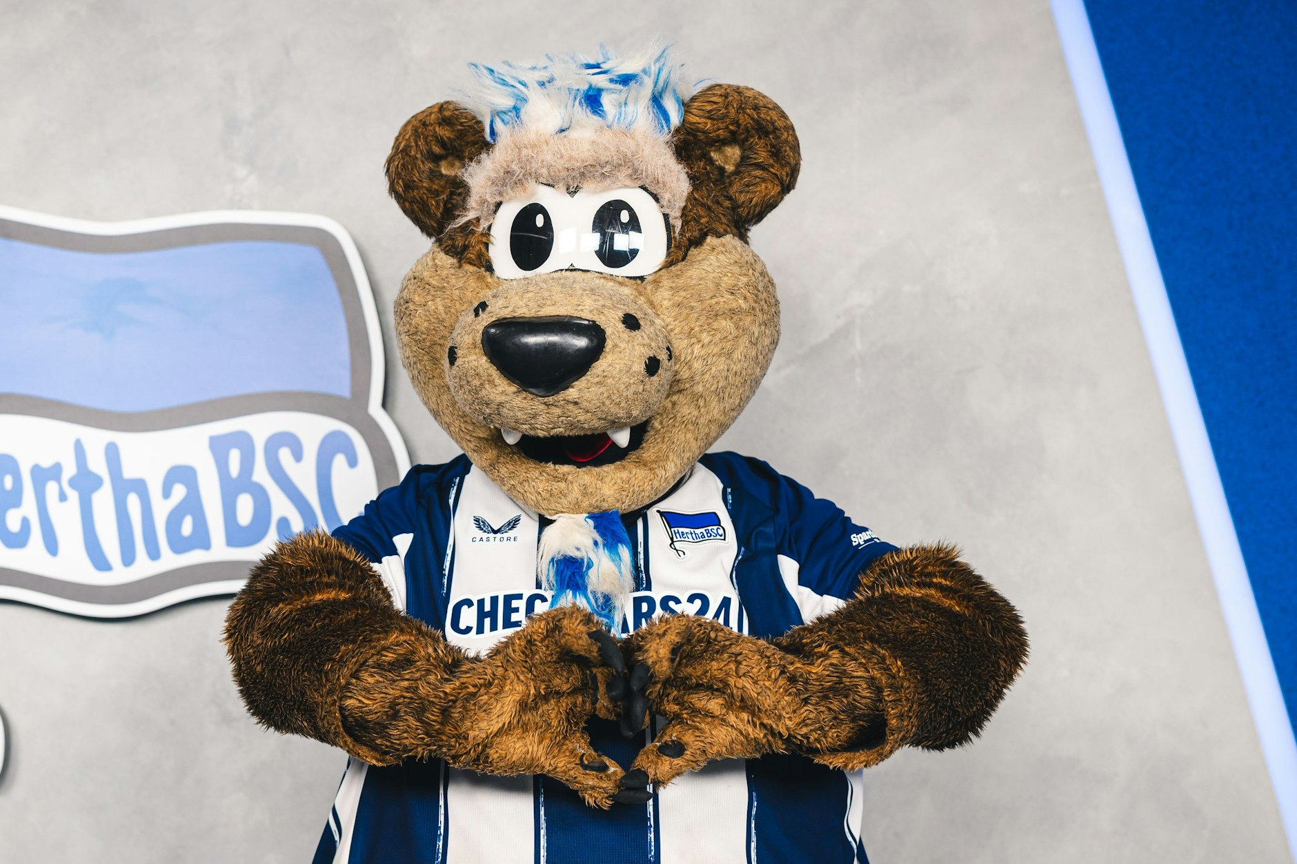 Die Fans lieben Herthinho und Herthas brasilianischer Bär liebt auch die Fans.