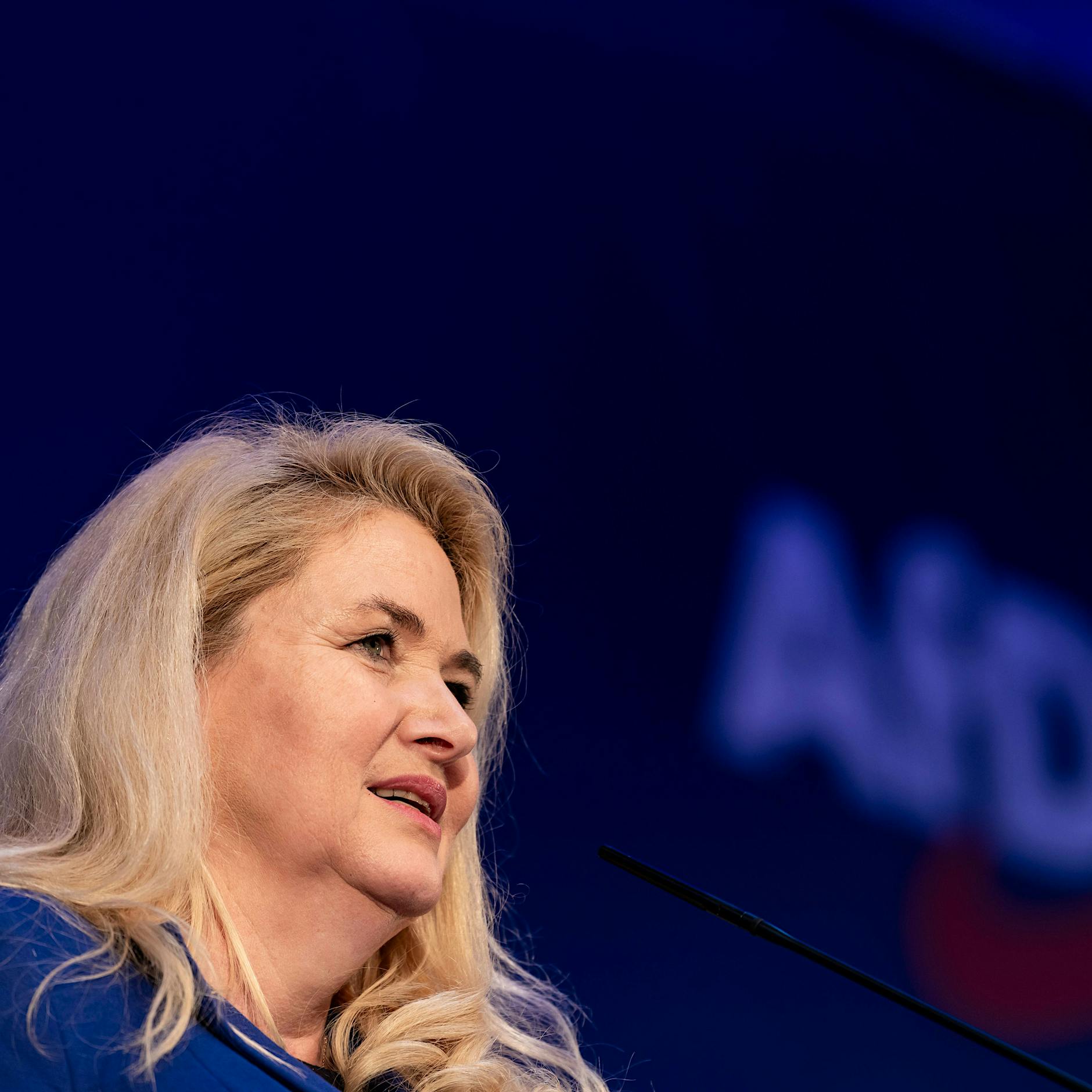 AfD-Pläne für Berliner Verkehr: Mobilitätsgesetz kippen, Autos stärken