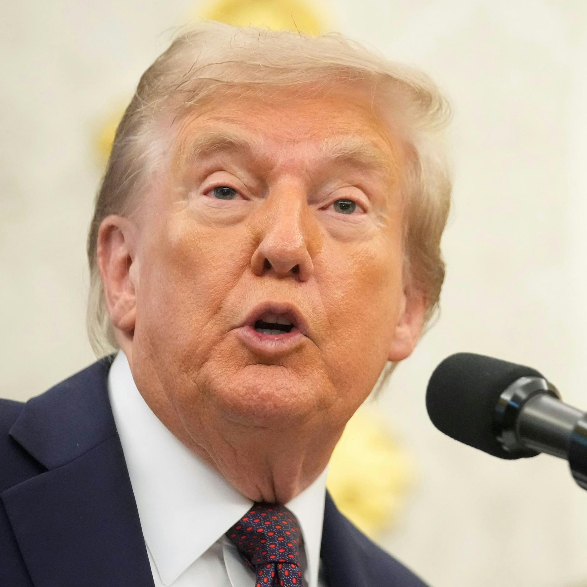 Image - Trump wirft Xi, Putin und Kim „Verschwörung“ gegen die USA vor