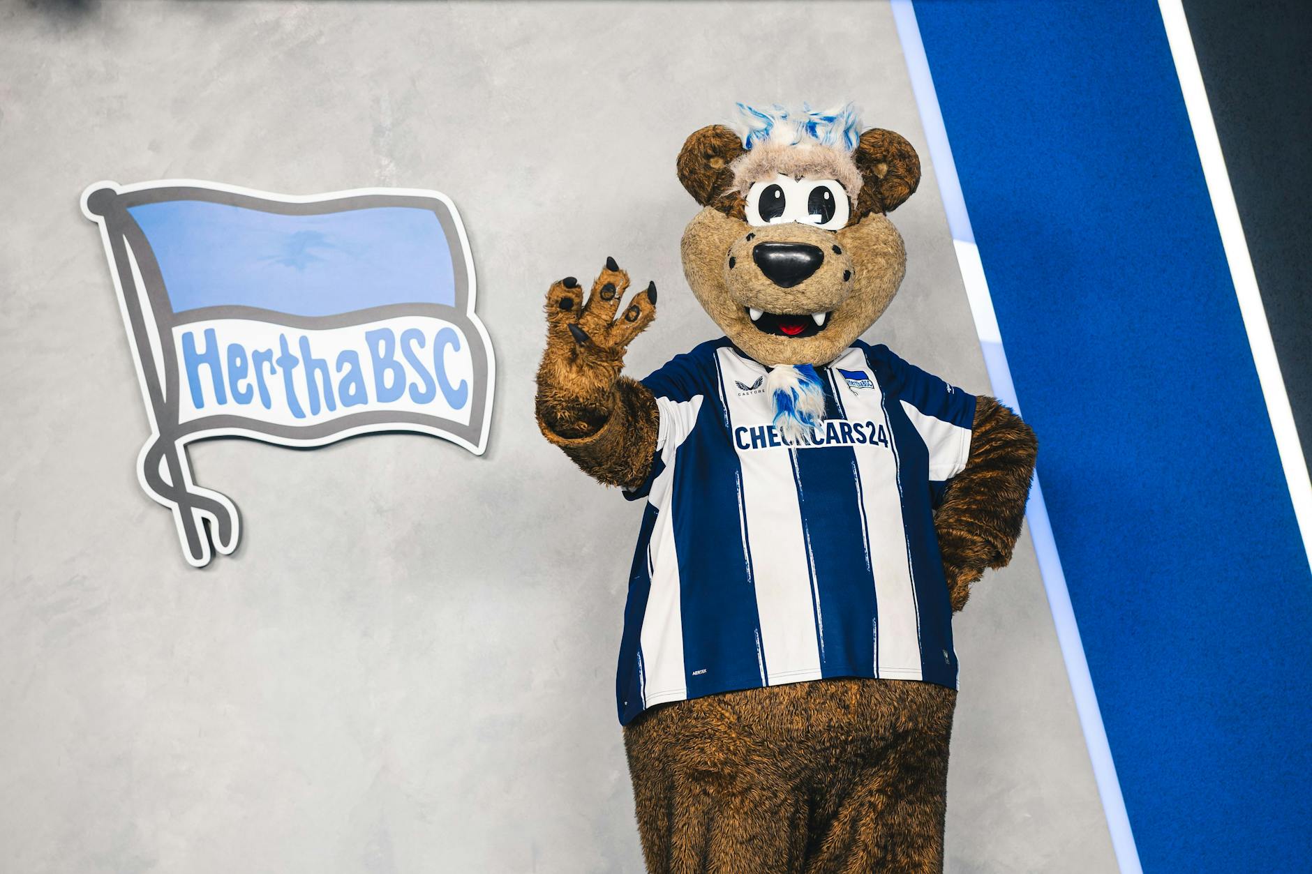 Da ist sich Herthinho ganz sicher. Hertha holt in Hannover den ersten Sieg und damit drei Punkte.